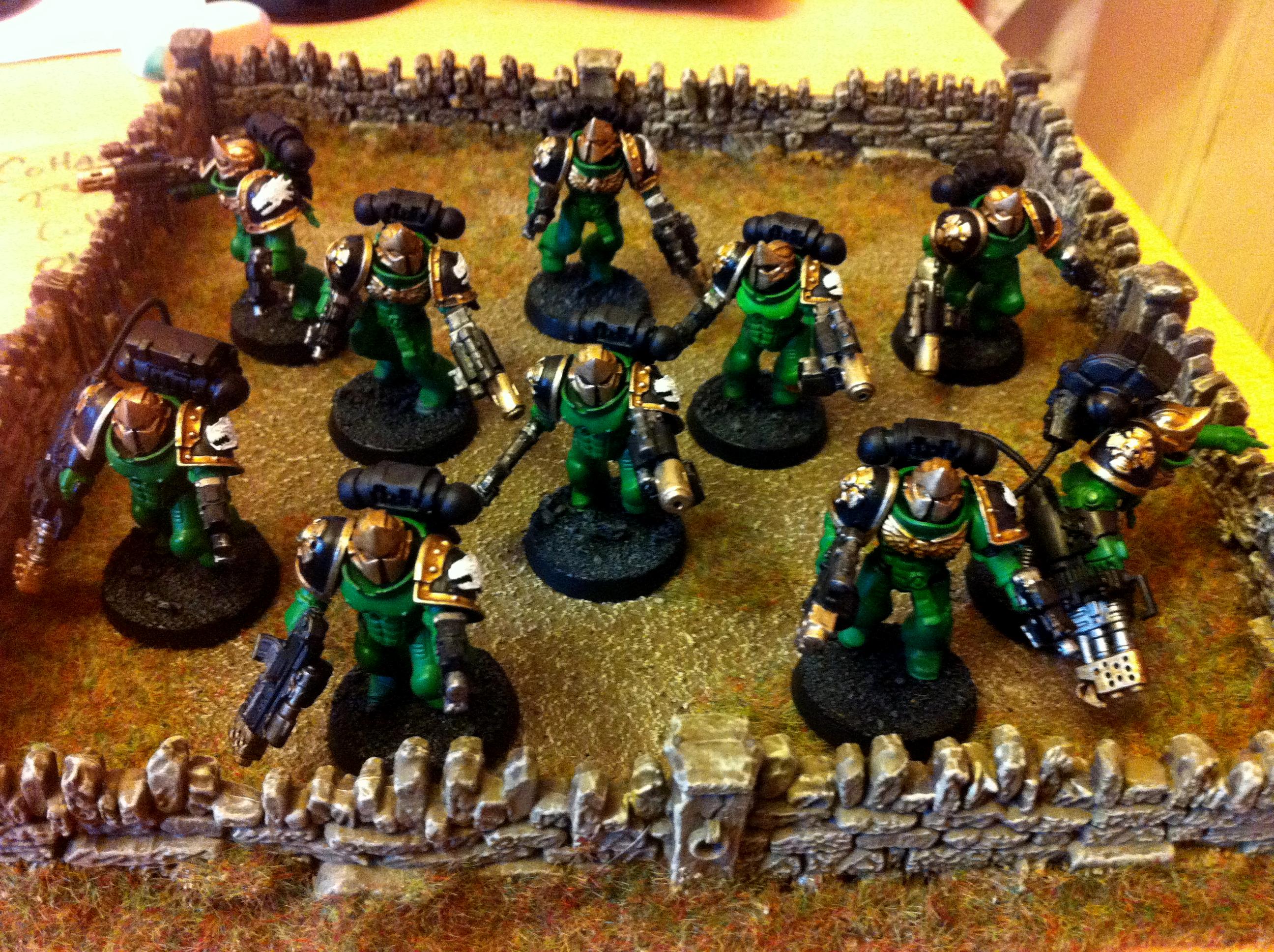 Salamanders, Sternguard