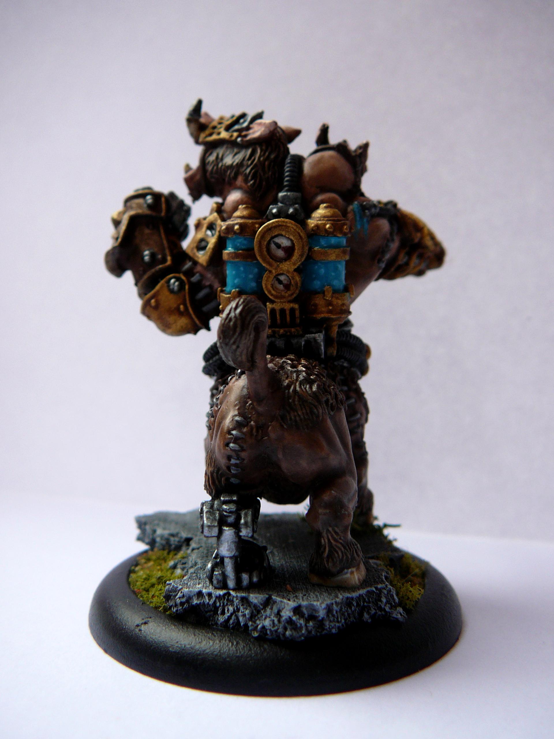 Drang, Minions, Sturm, Warcaster, Warmachine