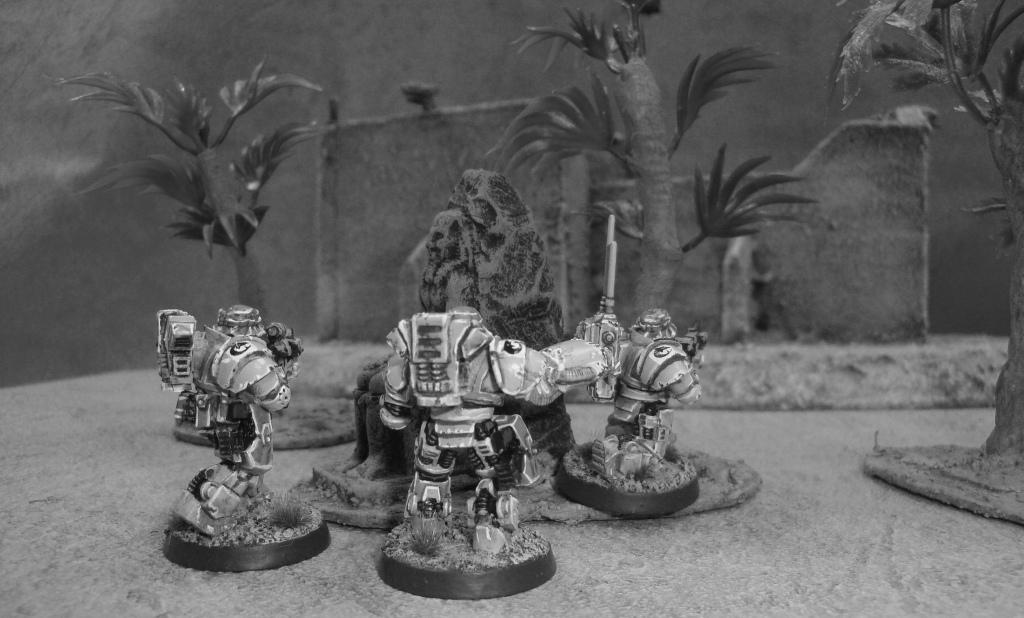 Conversion, Seals, Space Marines, Space Sharks