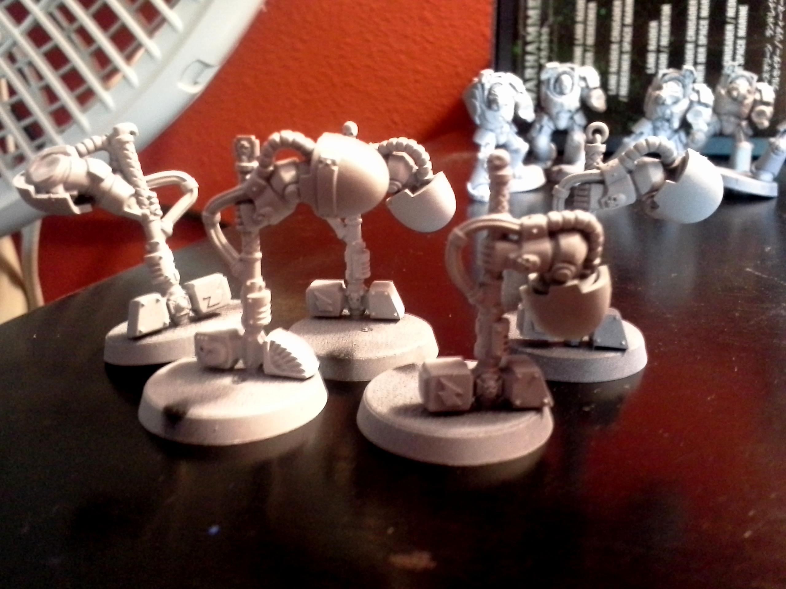 Hammers Primed