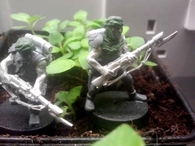 Korskian desert fighter