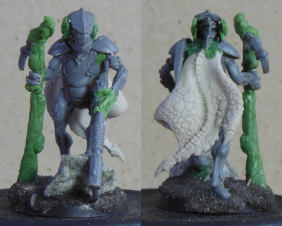 Conversion, Kroot, Kroot Shaper, Tau Emrpire, Work In Progress
