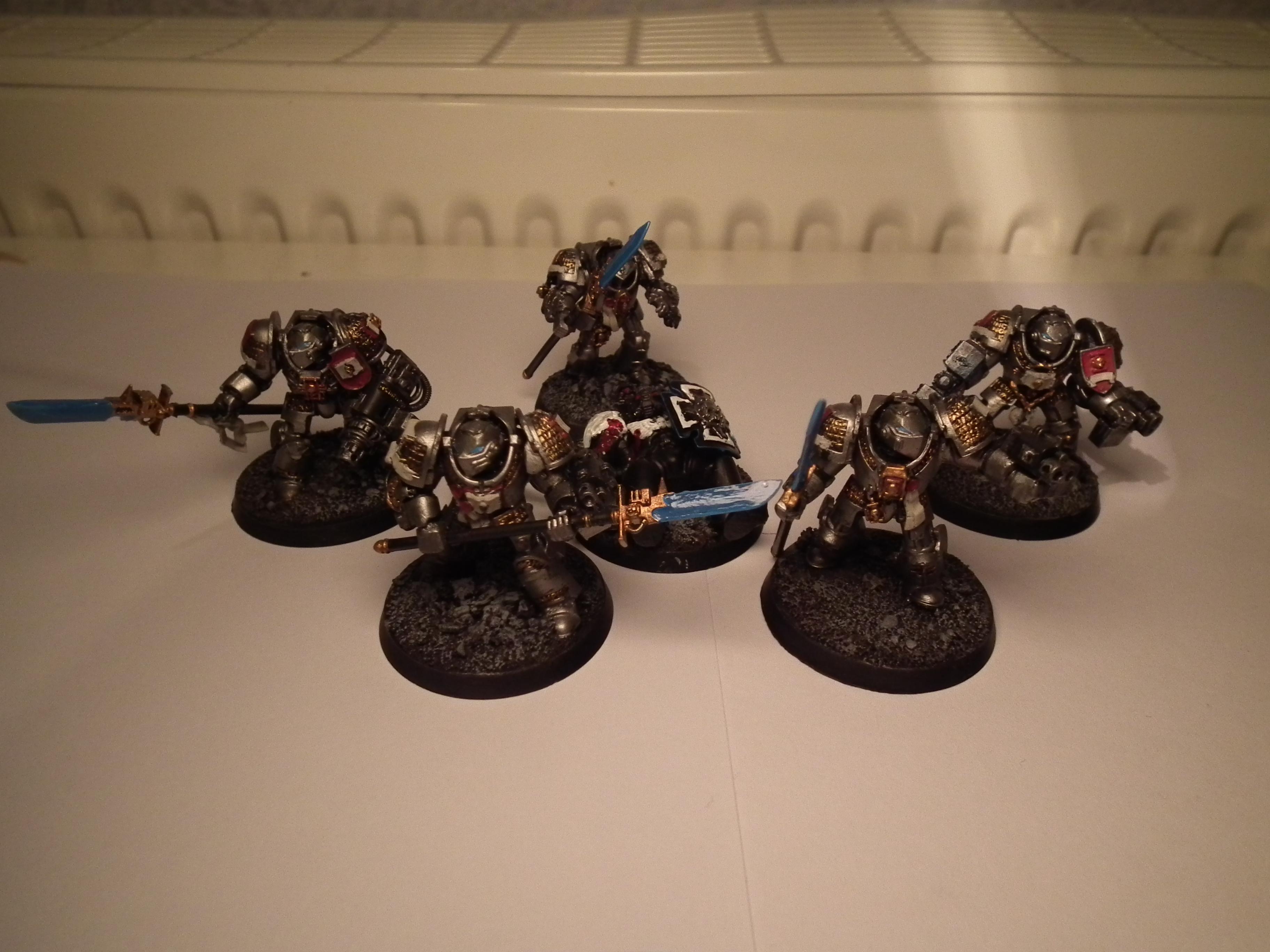 Brotherhood, Grey Knights, Paladin