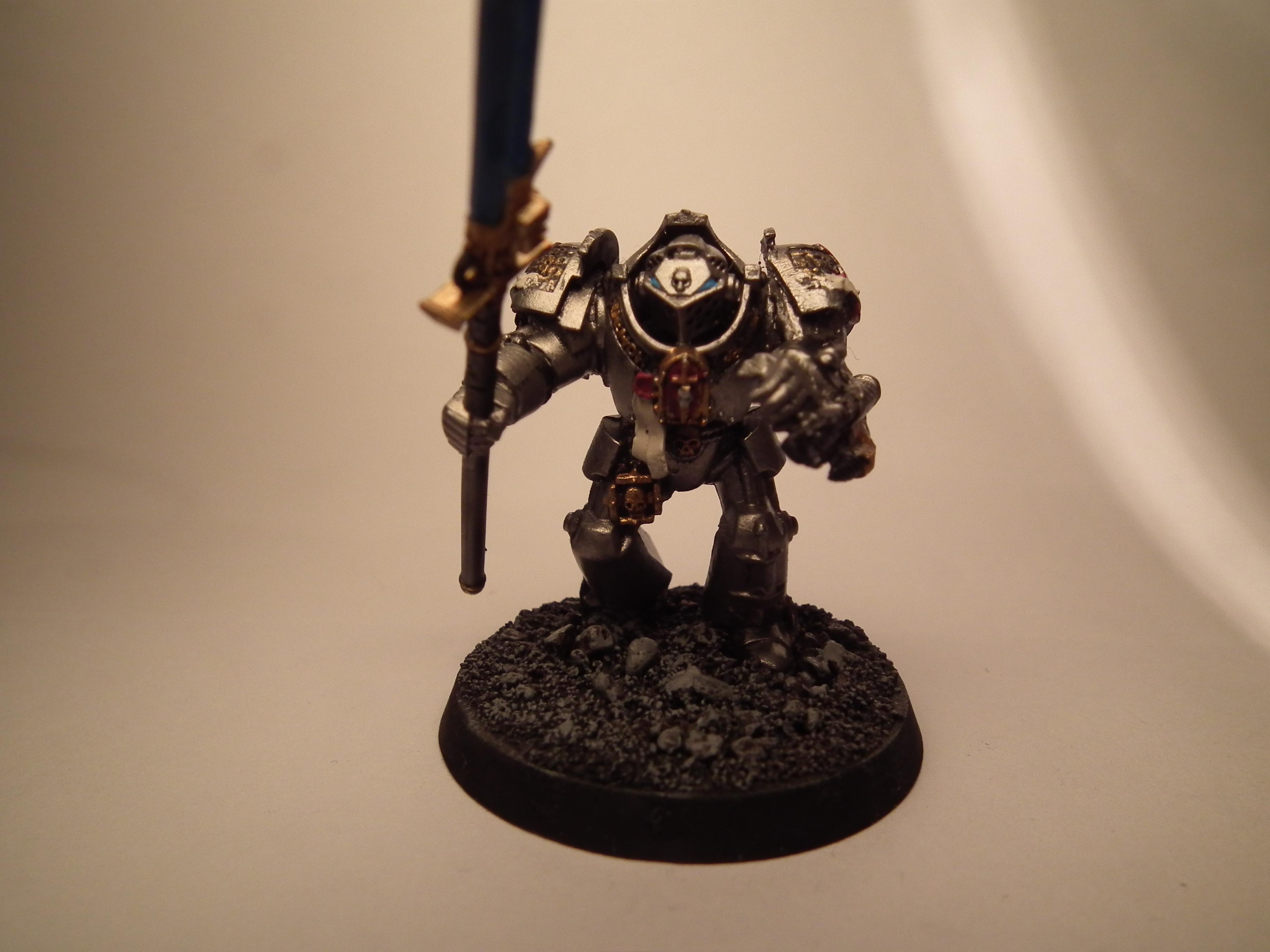 Grey Knights, Paladin
