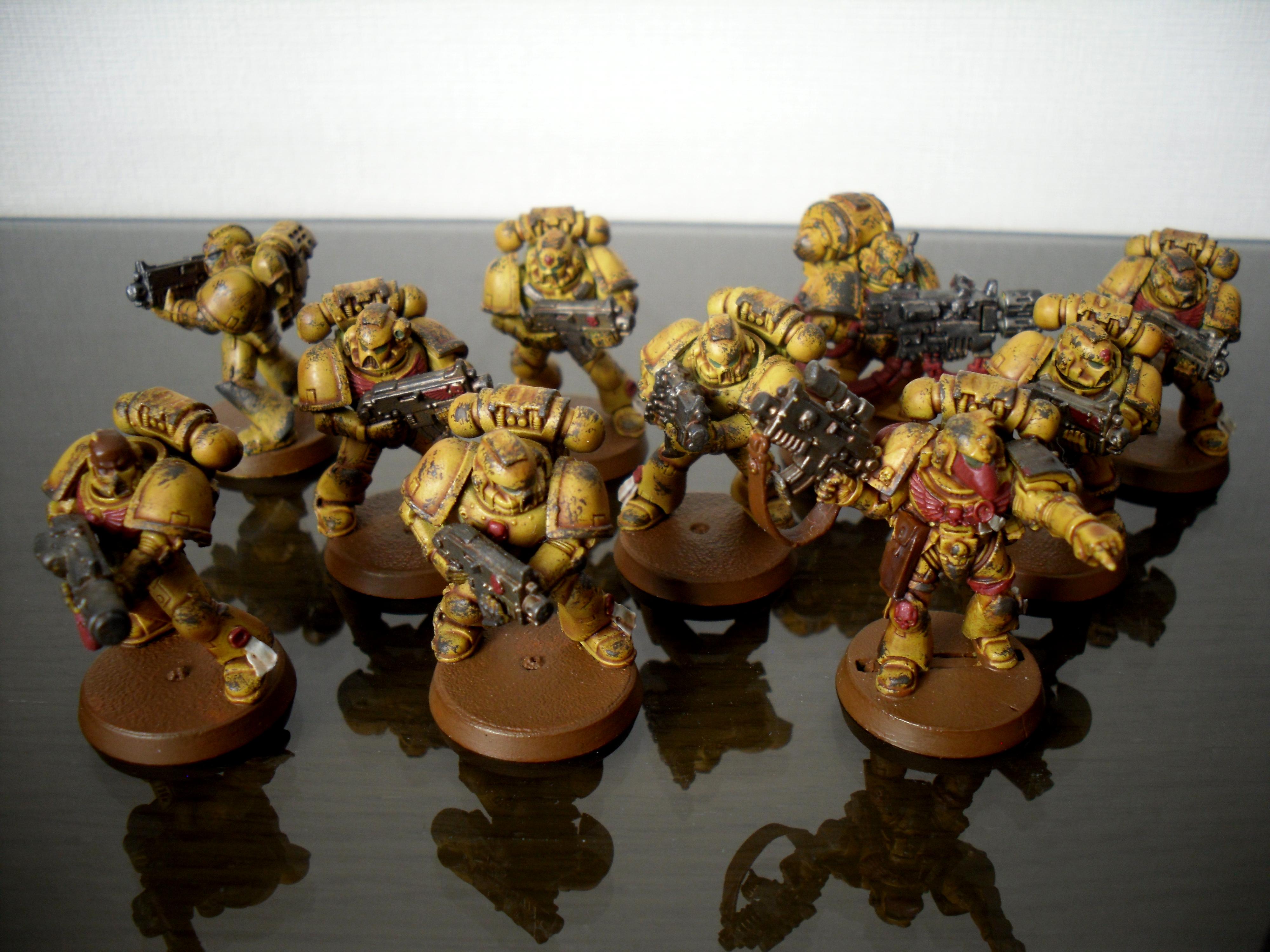 Imperial Fists, Space Marines, Tactical Squad, Yellow