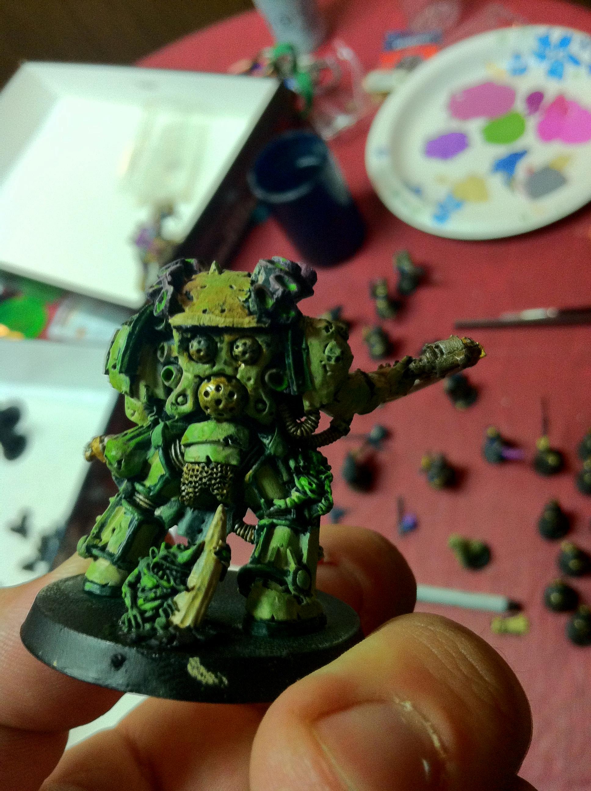 Typhus Back