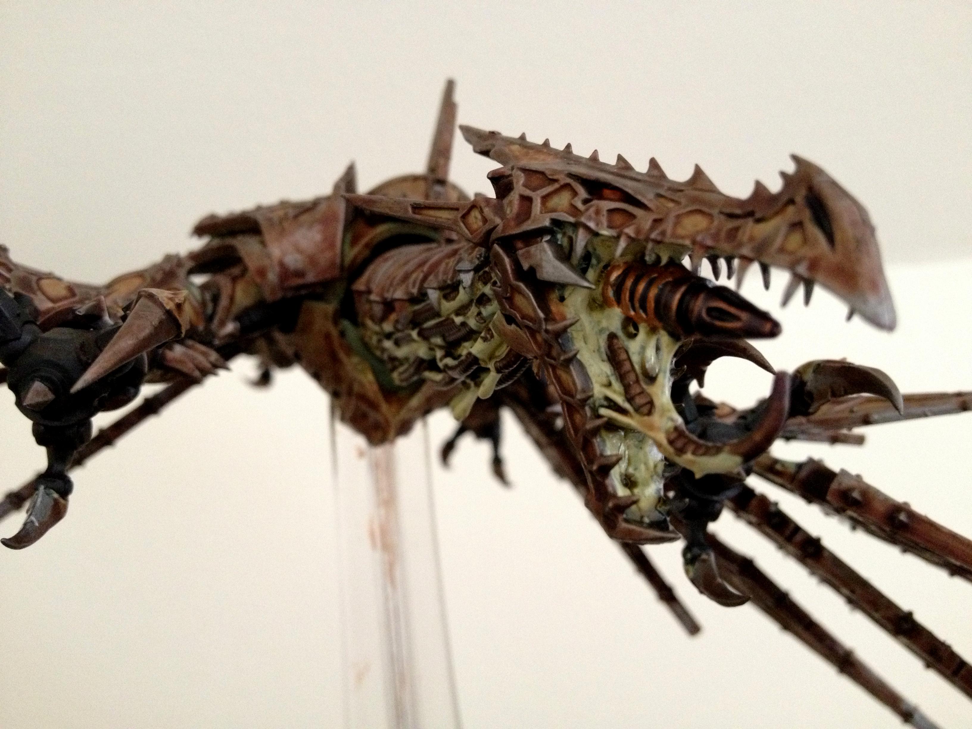 Helldrake, Helldrake