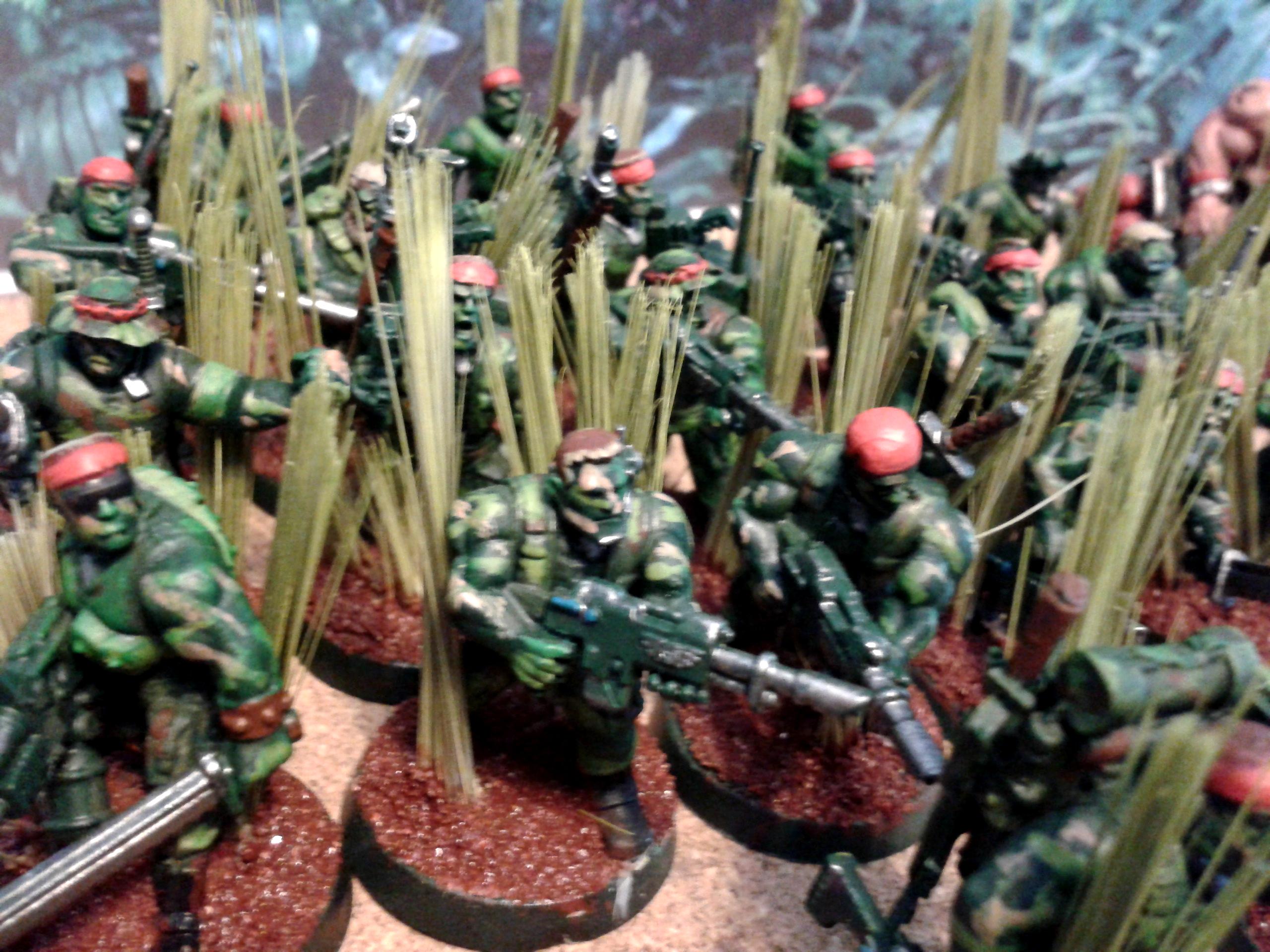 Camouflage, Catachans, Codex Australians, Deathworld, Imperial Guard