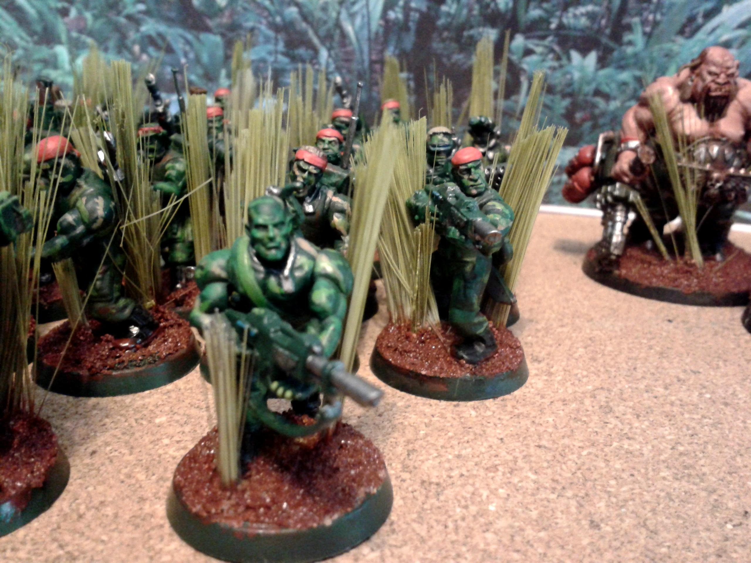 Catachan, Death World, Imperial Guard, Veteran