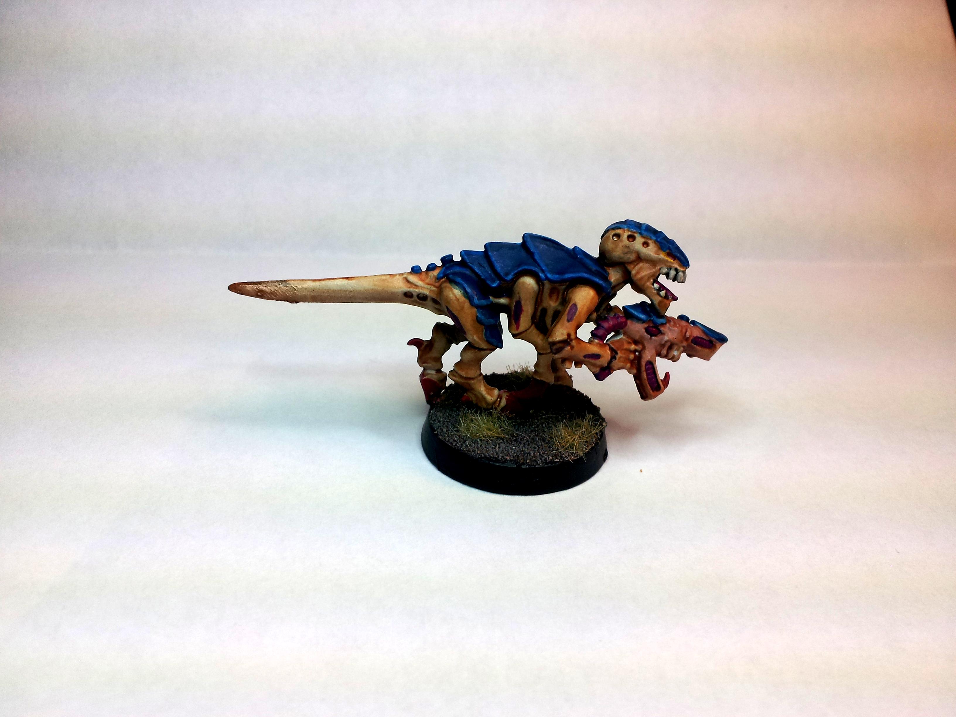 Test Model