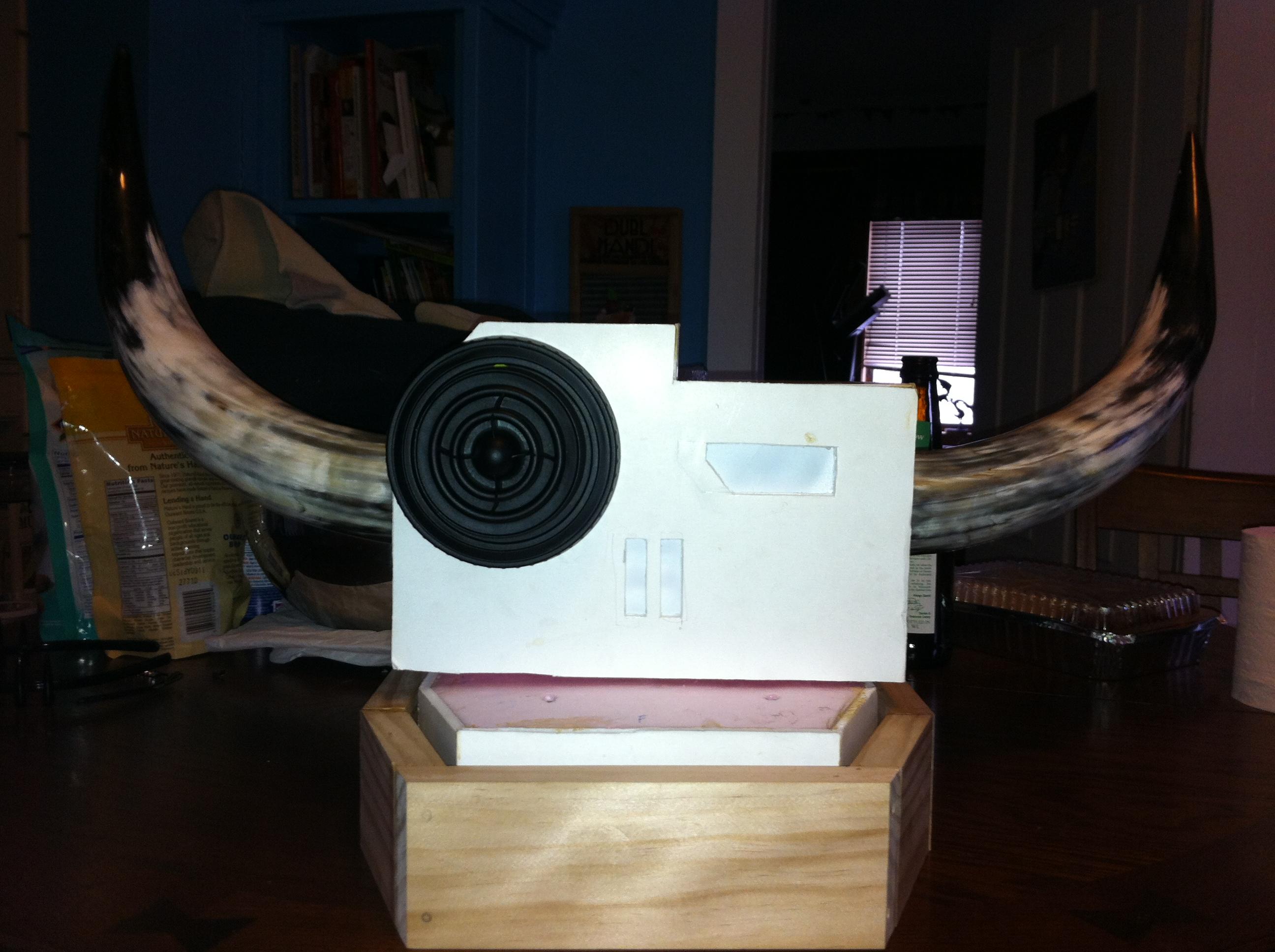 the horns
