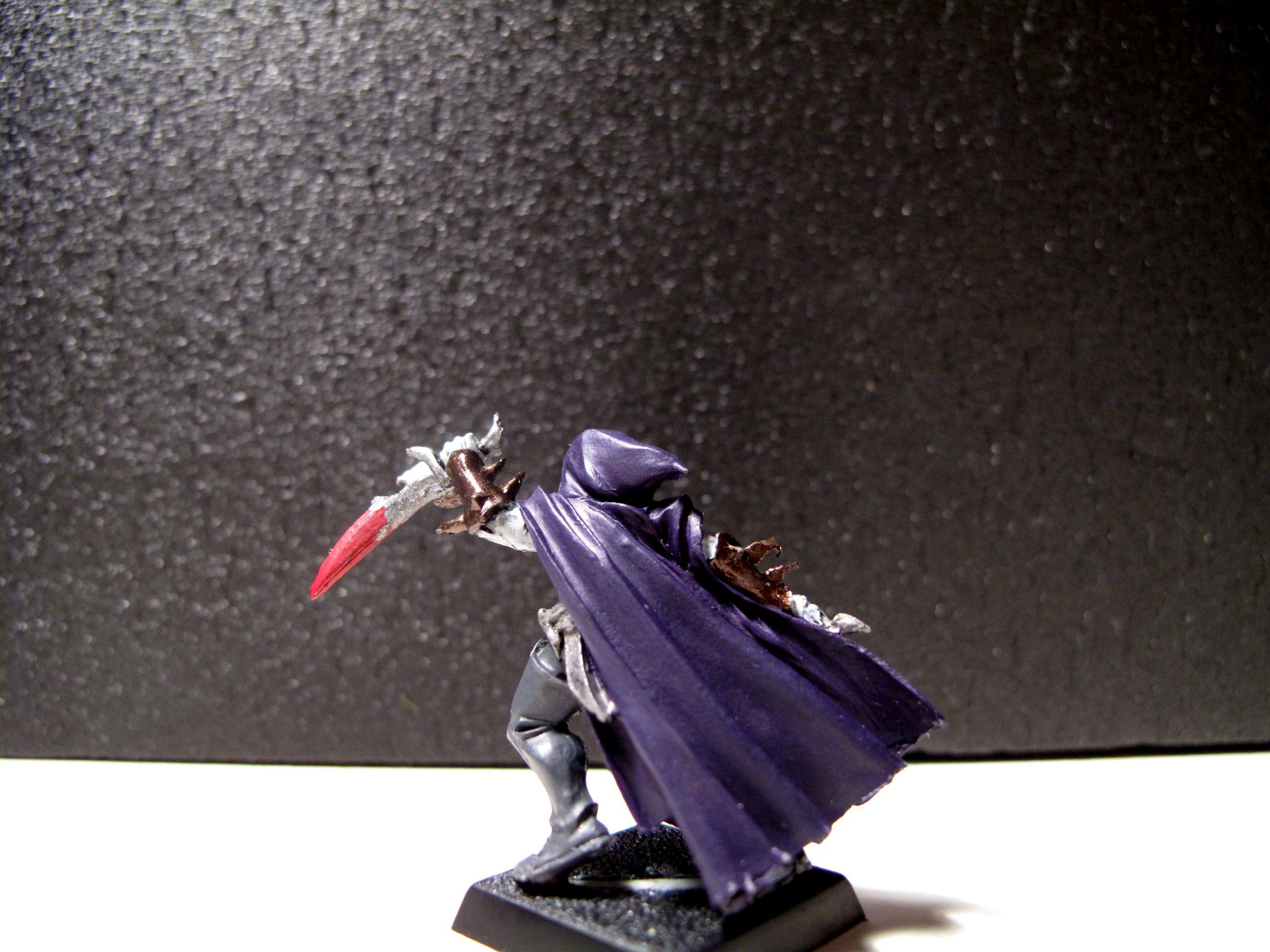 Assassin, Dark Elves, Warriors