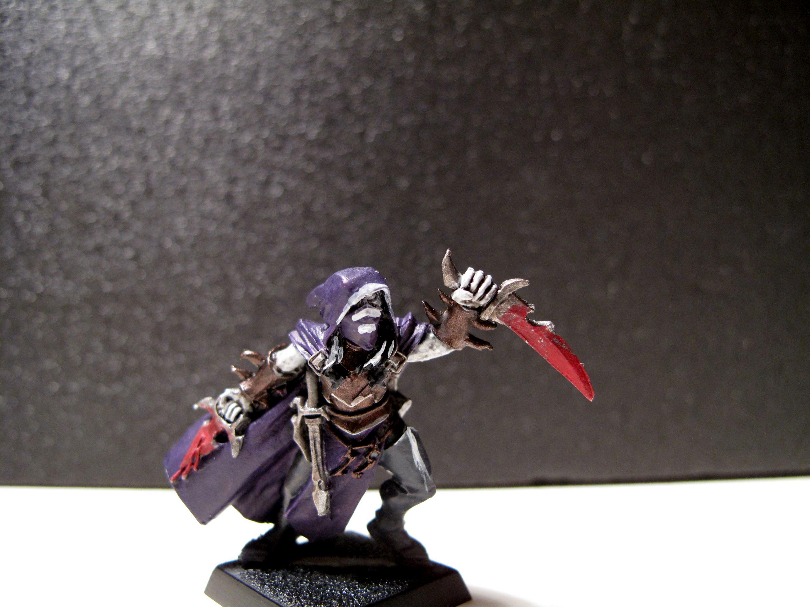 Assassin, Dark Elves, Warriors