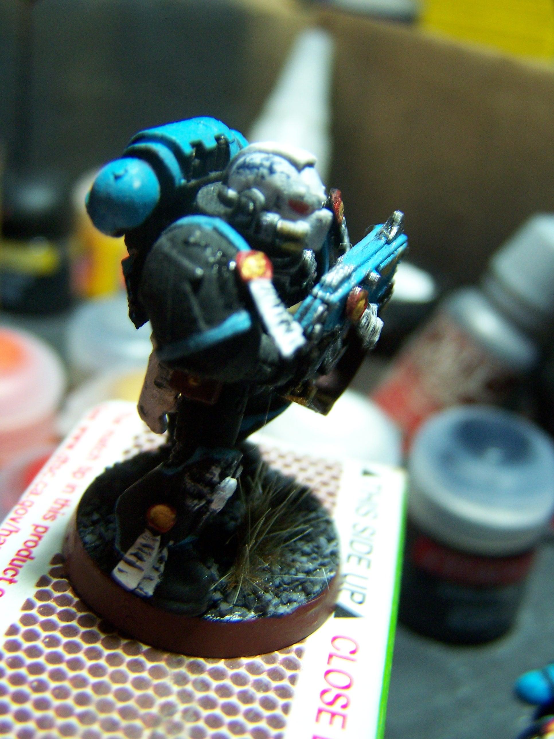 Skull White helmet, Regal Blue laurel
