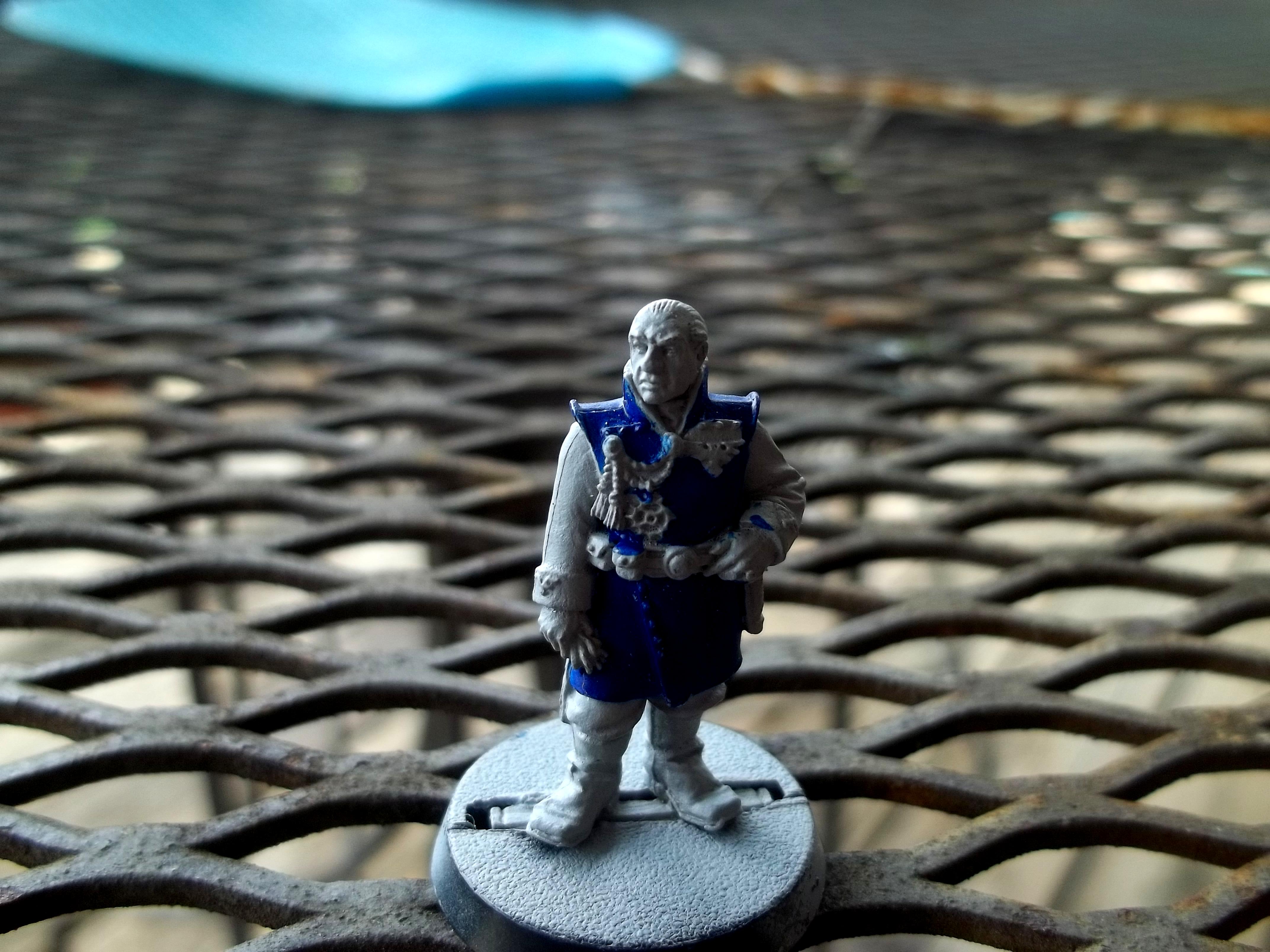Officer of the fleet