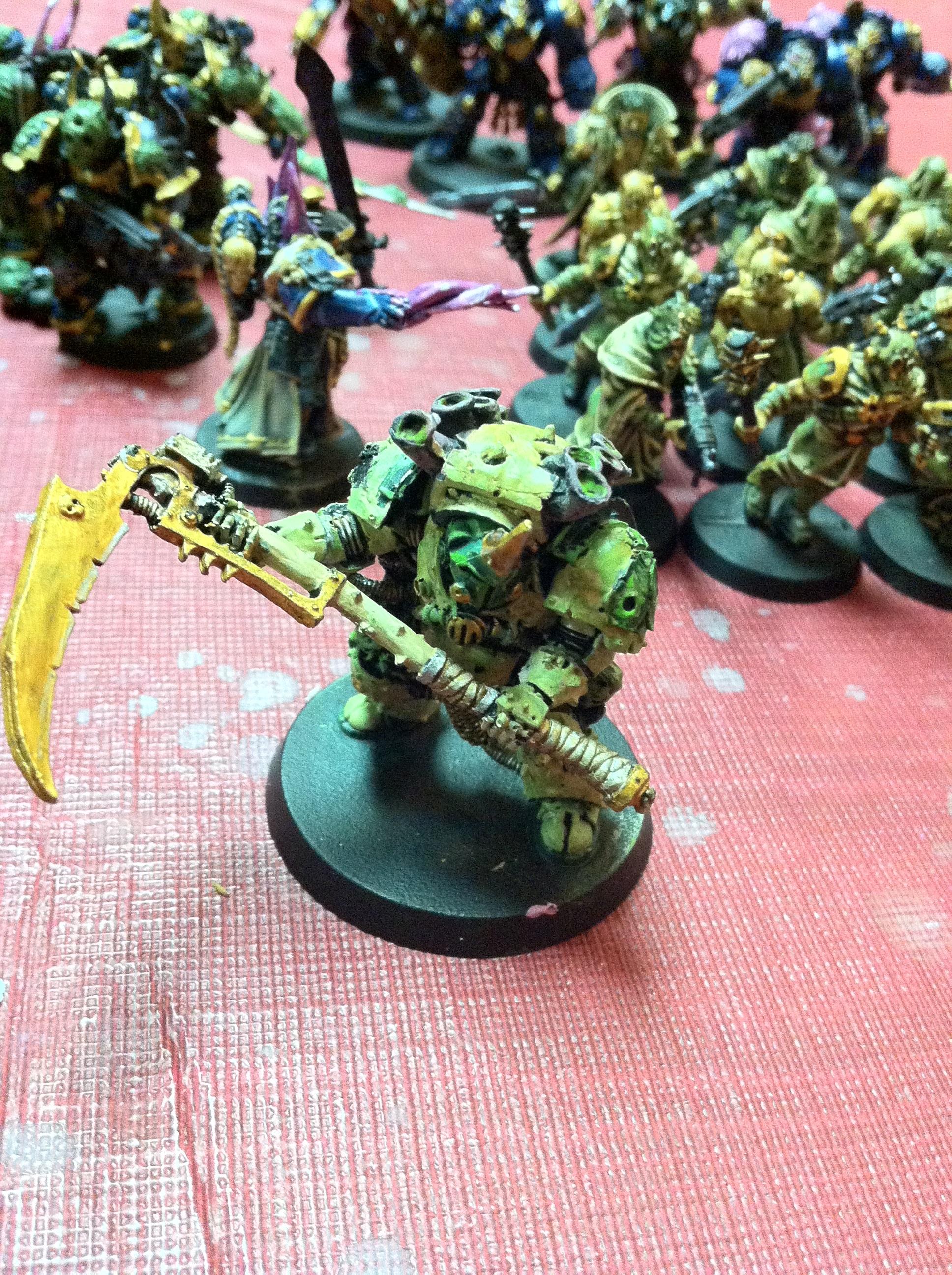 Typhus again