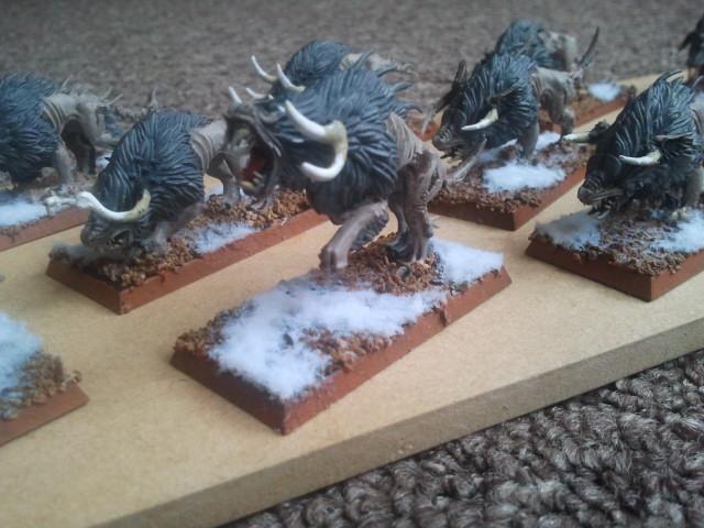 Close up of a Winterwolf