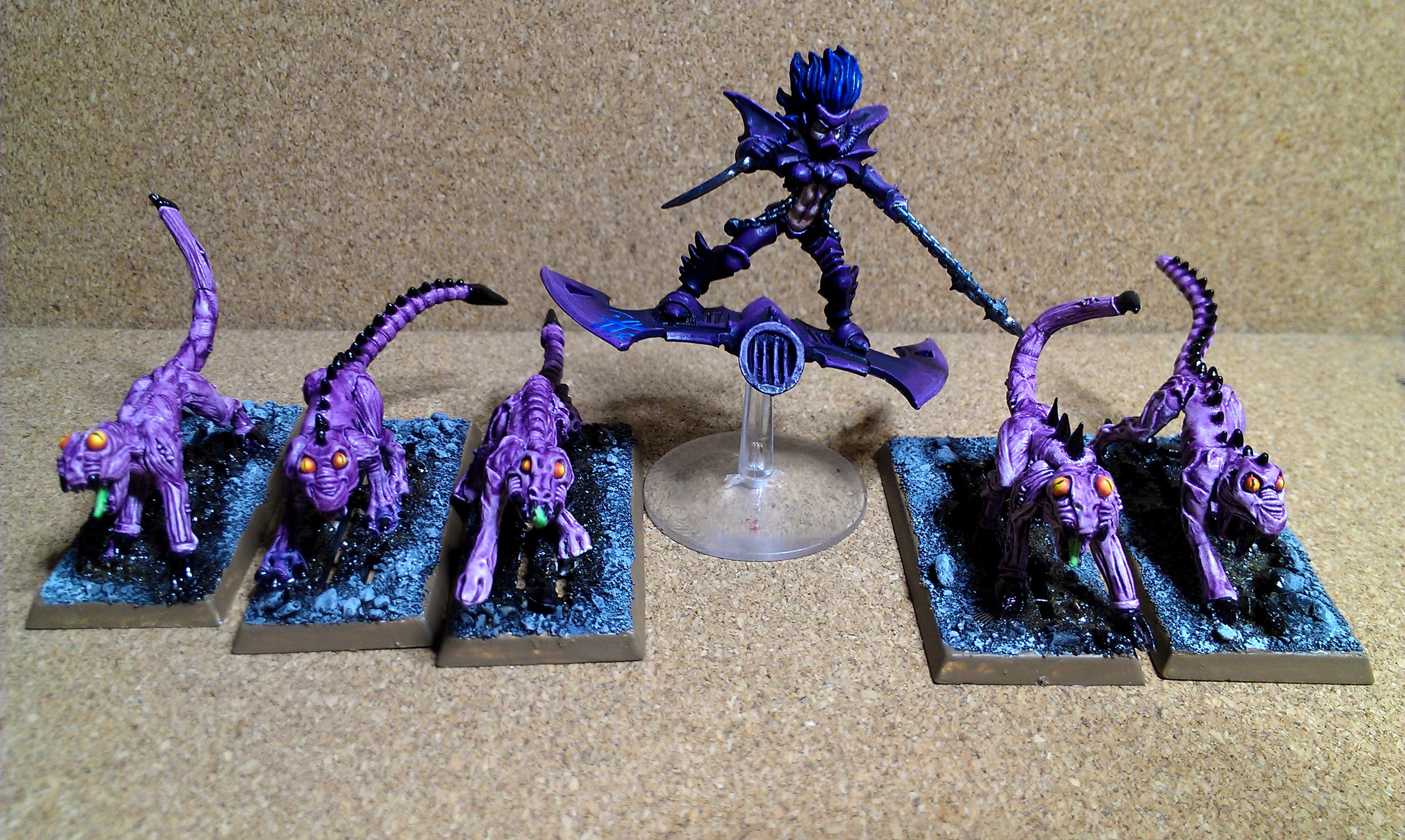 Beast Pack, Dark Eldar