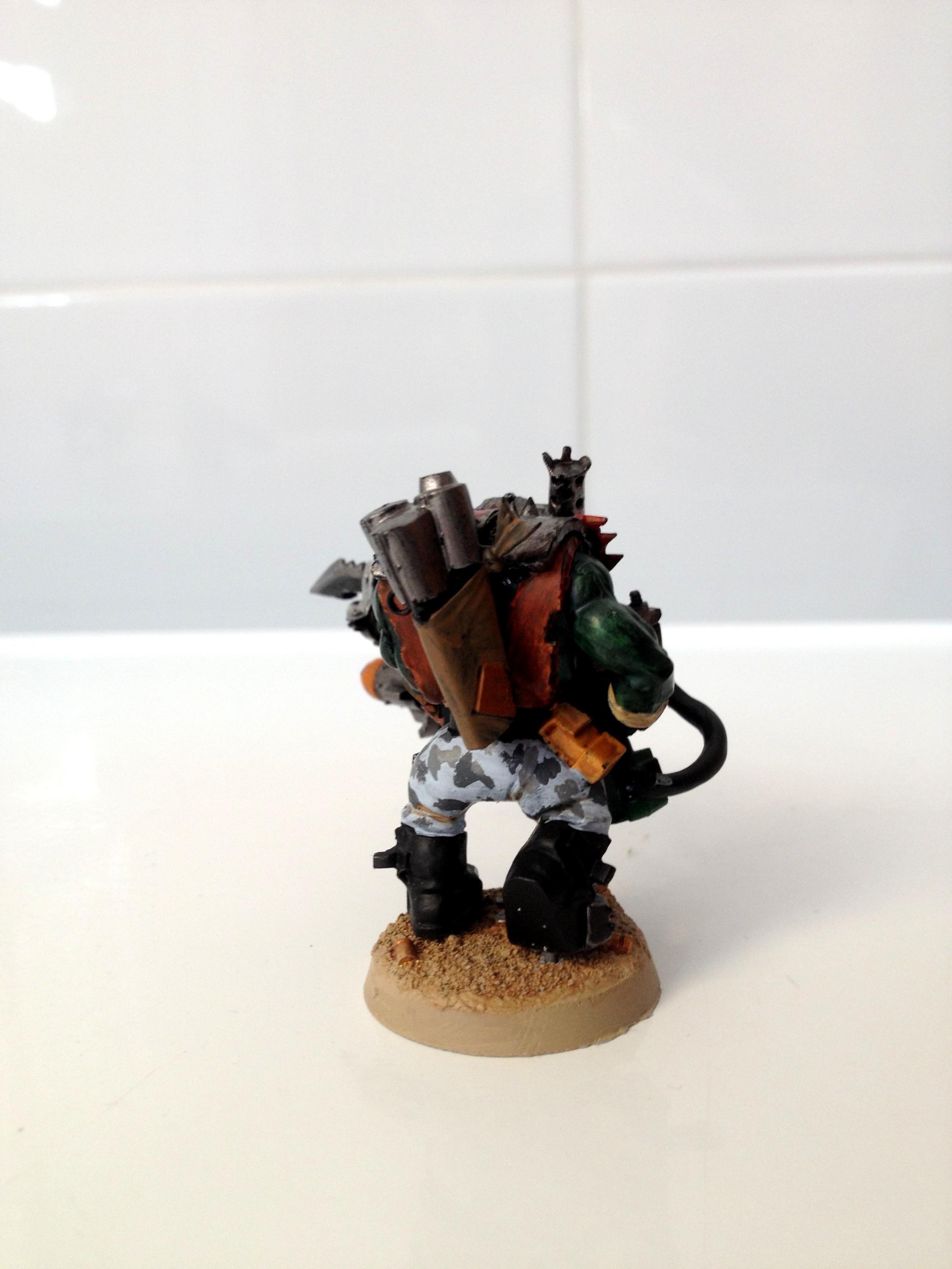 Ork Flash Gitz, Orks