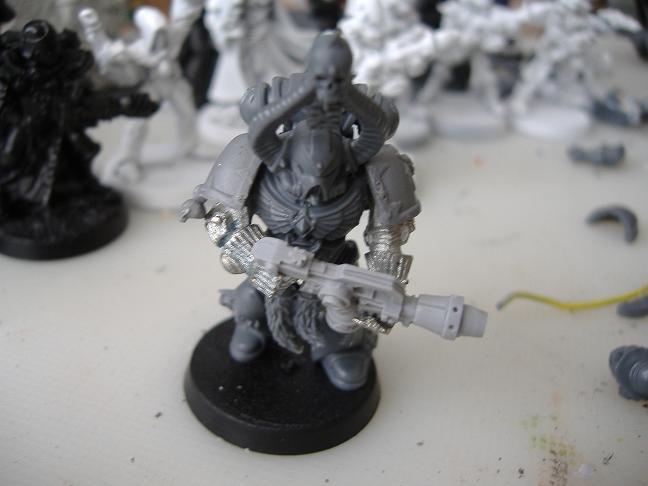 Grey Hunters, Kill Team, Skyrar's Dark Wolves