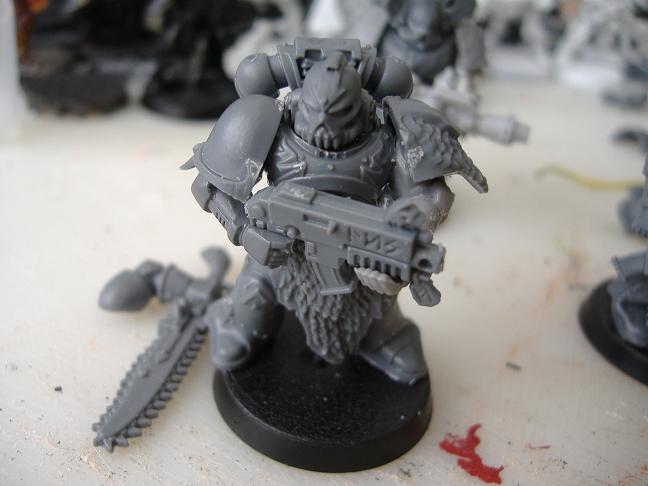 Grey Hunters, Kill Team, Skyrar's Dark Wolves