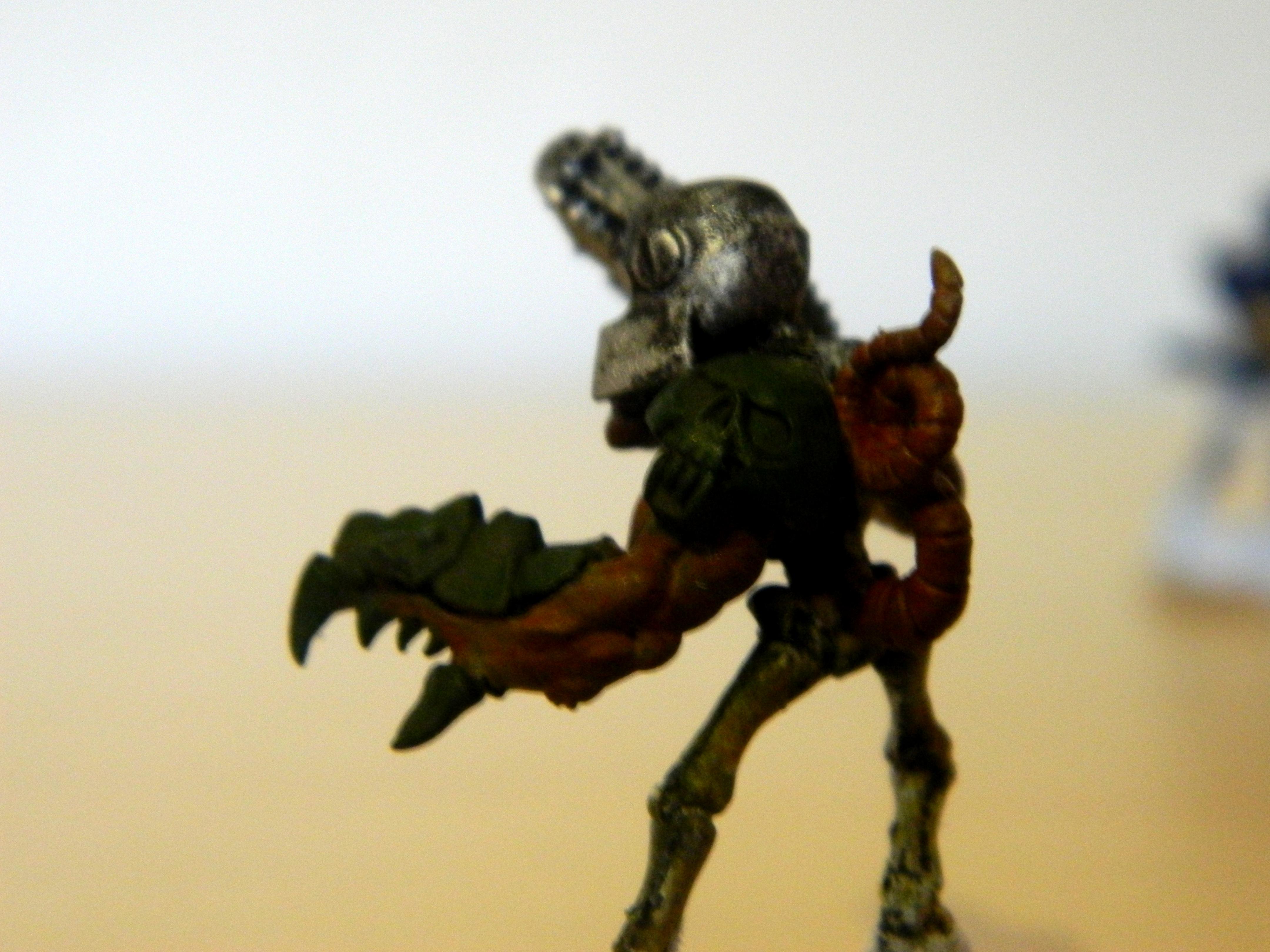 Cannon Fodder, Chaos, Conversion, Cultist, Mutant, Snow, Traitor