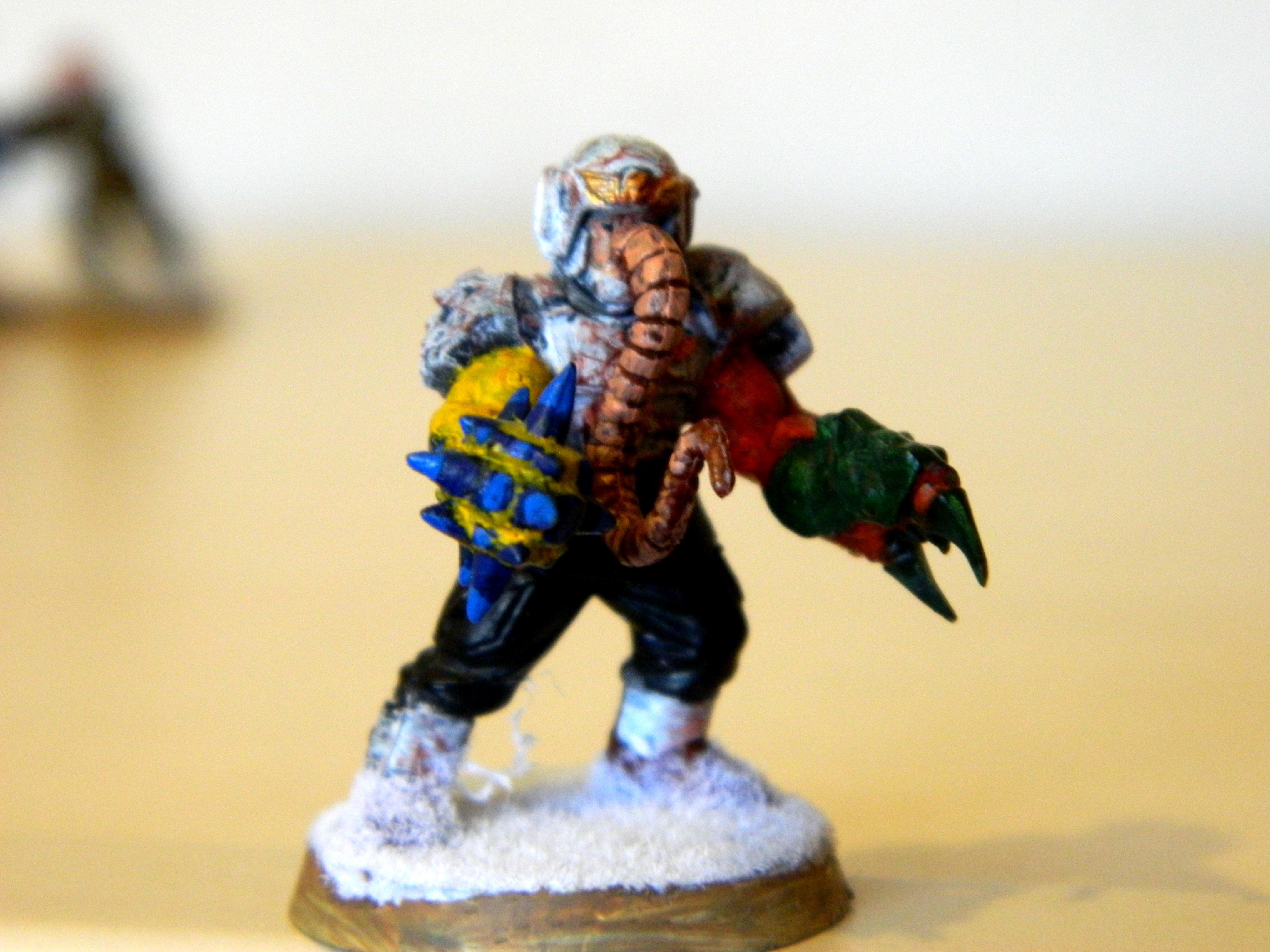 Cannon Fodder, Chaos, Conversion, Cultist, Mutant, Snow, Traitor, Trunk