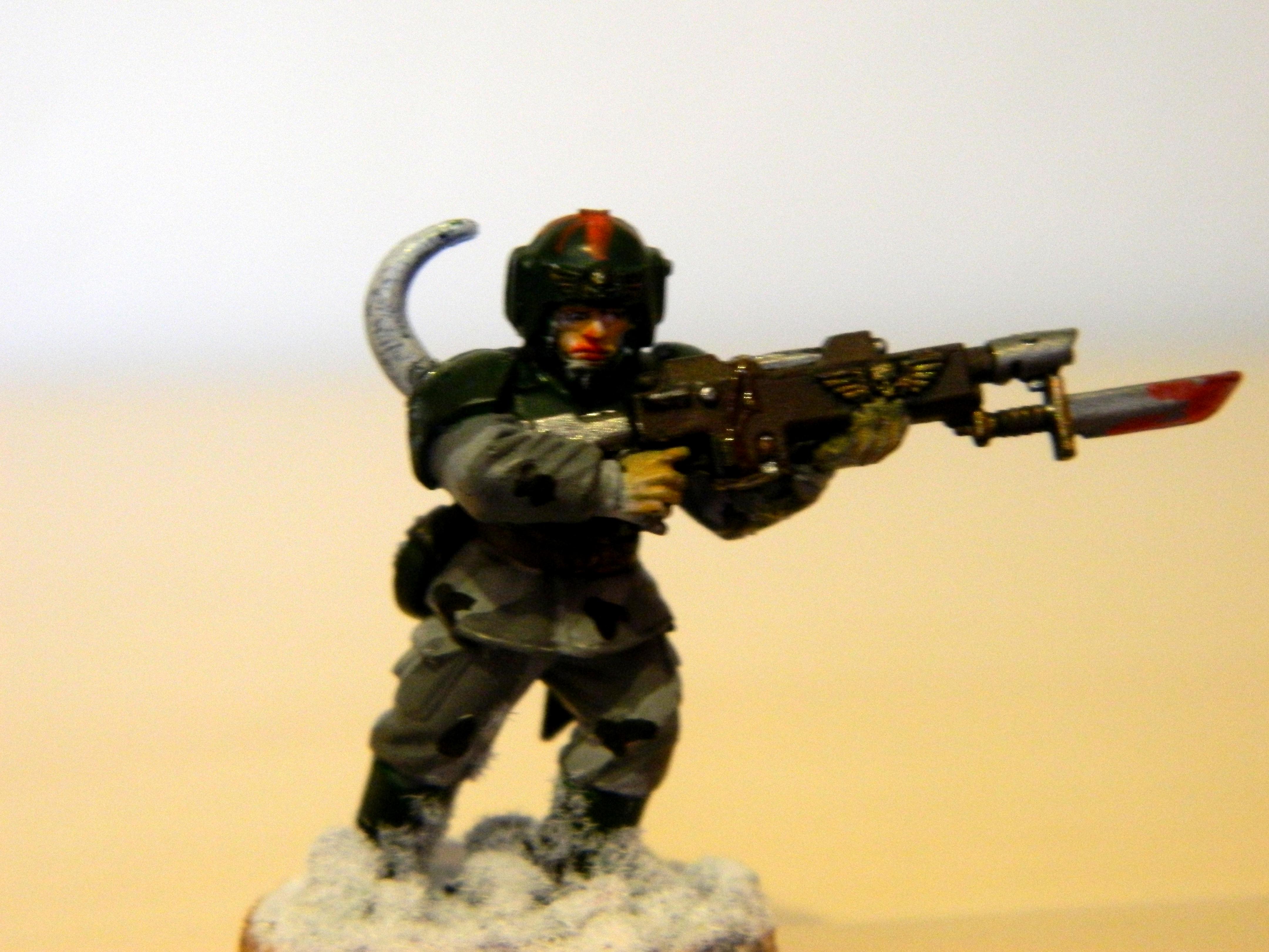 Cannon Fodder, Chaos, Conversion, Cultist, Mutant, Snow, Traitors