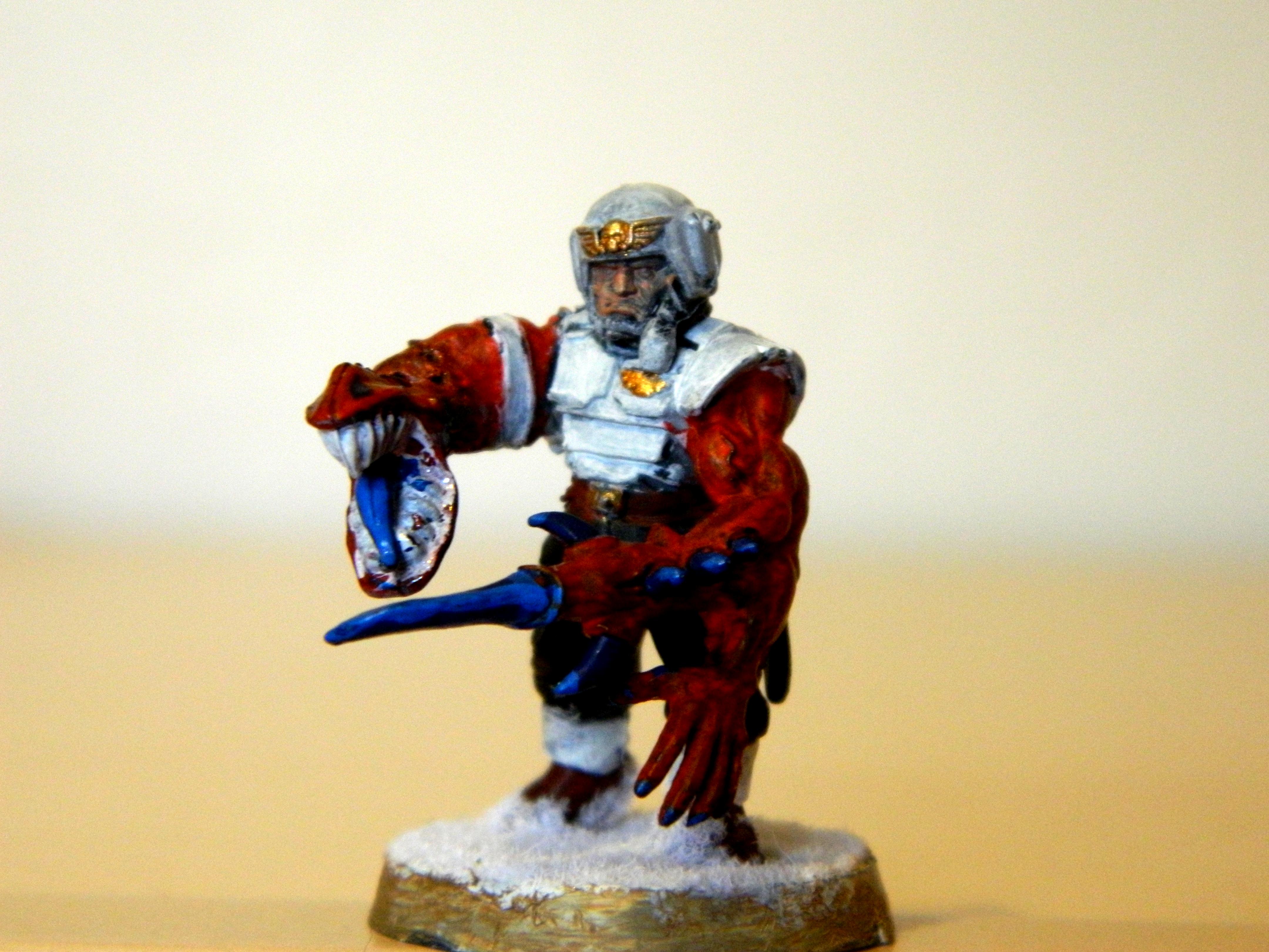 Cannon Fodder, Chaos, Conversion, Cultist, Mutant, Snow, Traitors