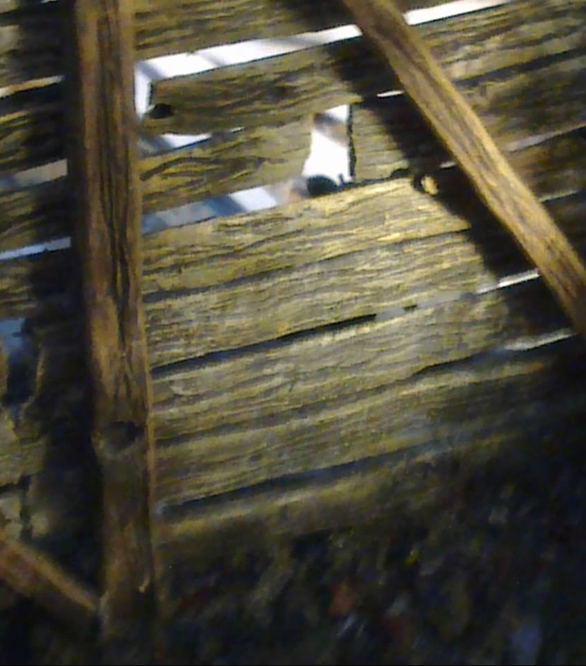 Hut painting wip 2