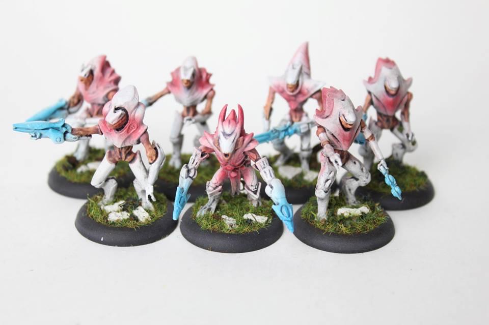 Dark Potential, Miniwargaming
