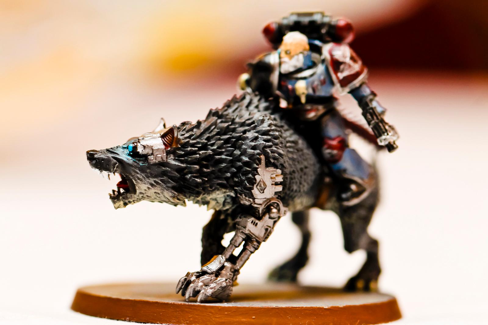 Cavalry, Space Wolves, Thunderwolf, Wolf