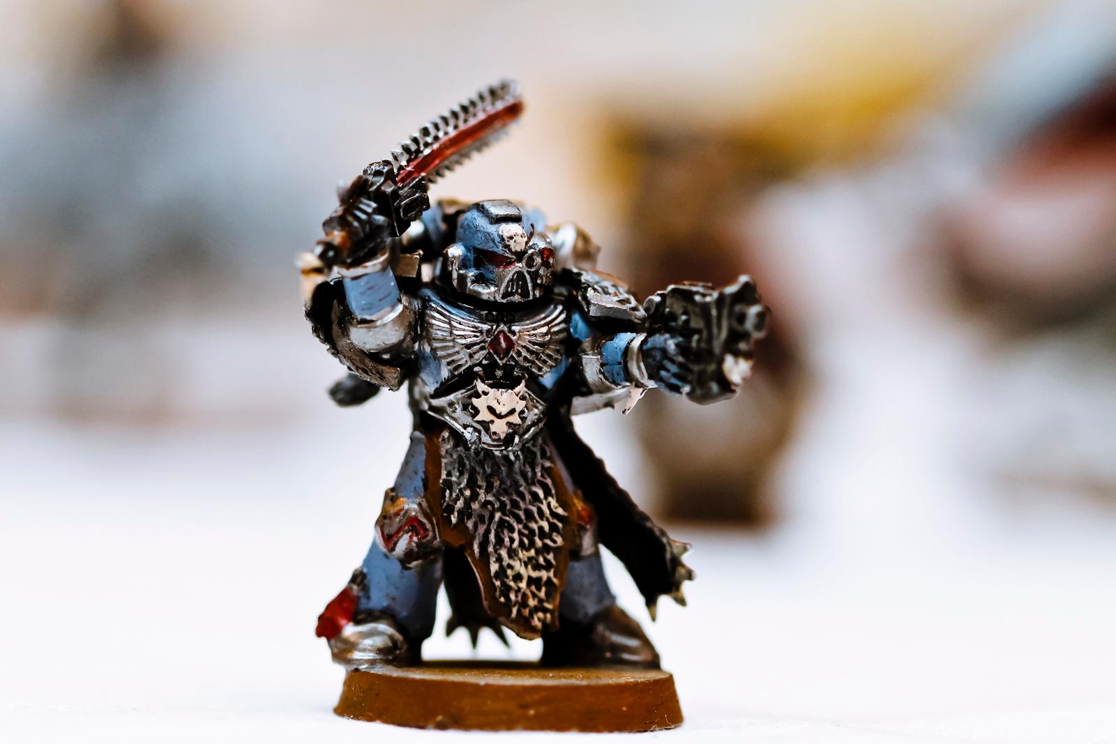 Grey Hunter, Space Marines, Space Wolves