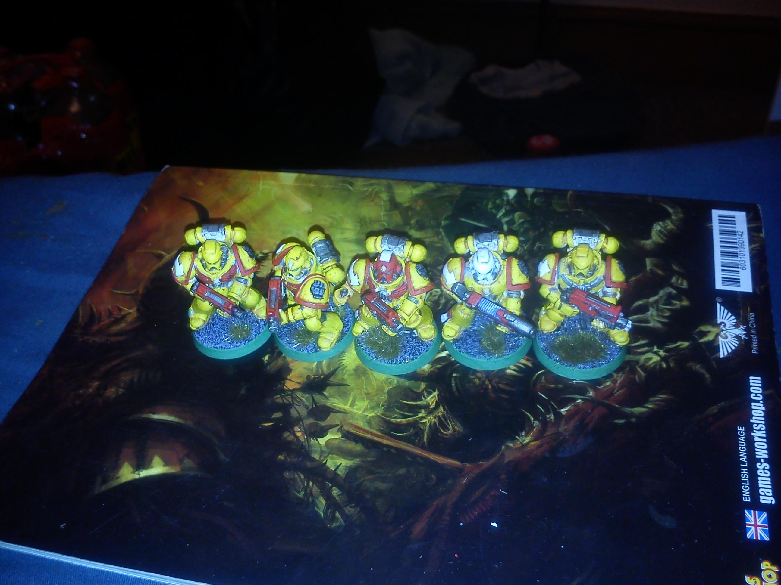 Imperial Fists, 5 Tactical Fists