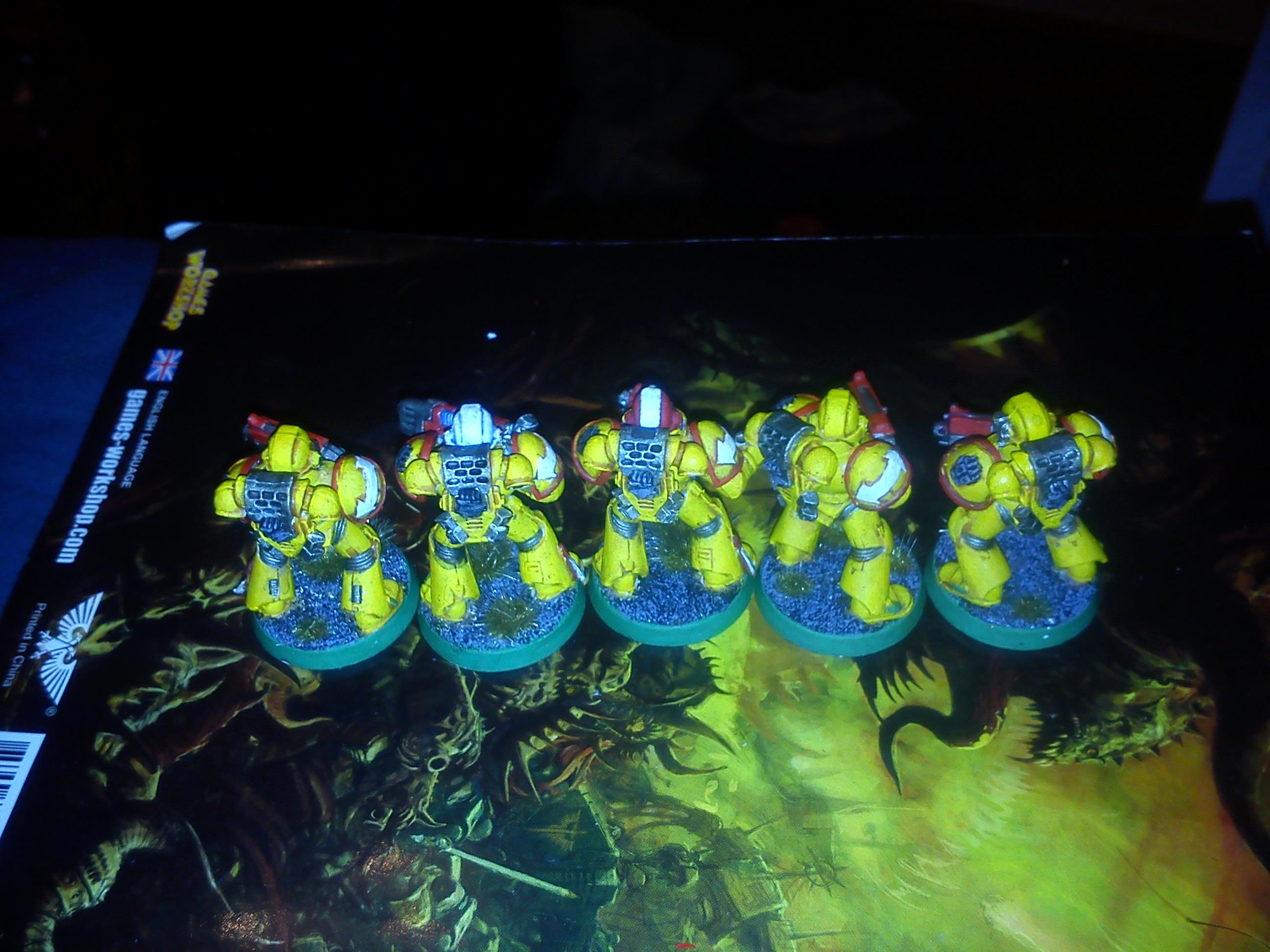 Imperial Fists, 5 Tactical Marines