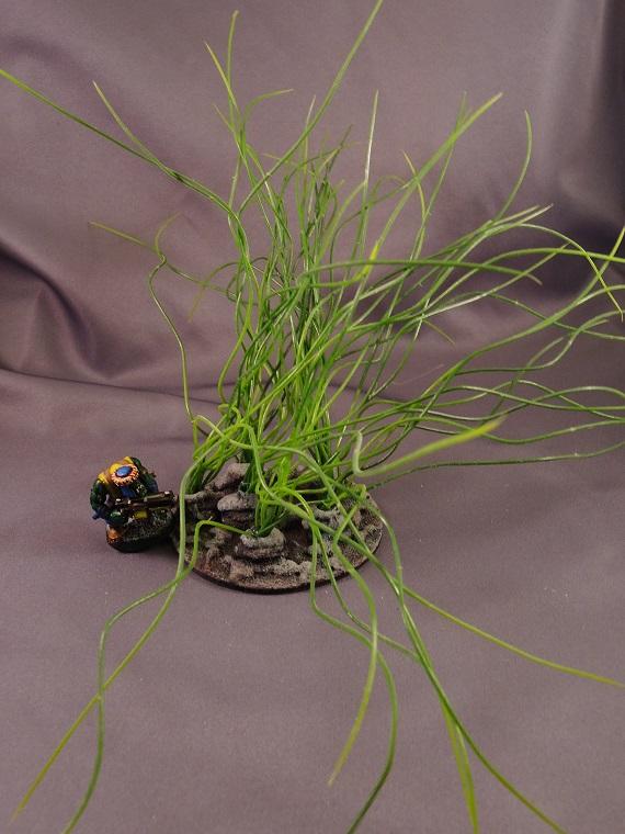 Jungles, Scratch Build, Terrain