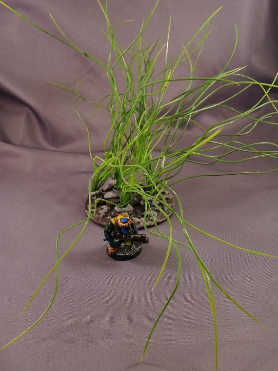 Jungles, Scratch Build, Terrain