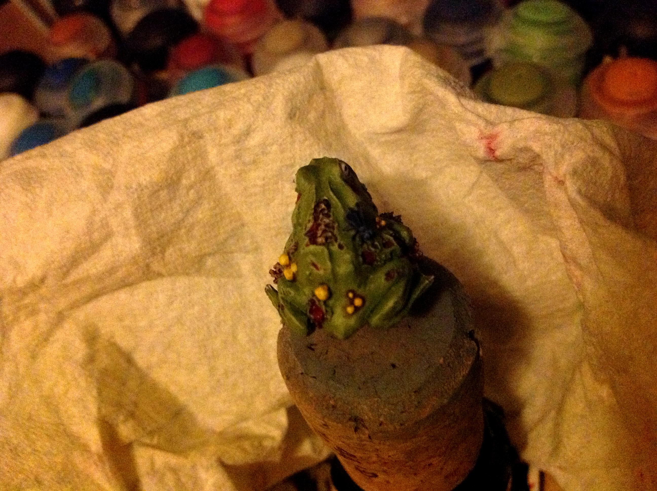 Frog, Nurgle, Nurgle Frog