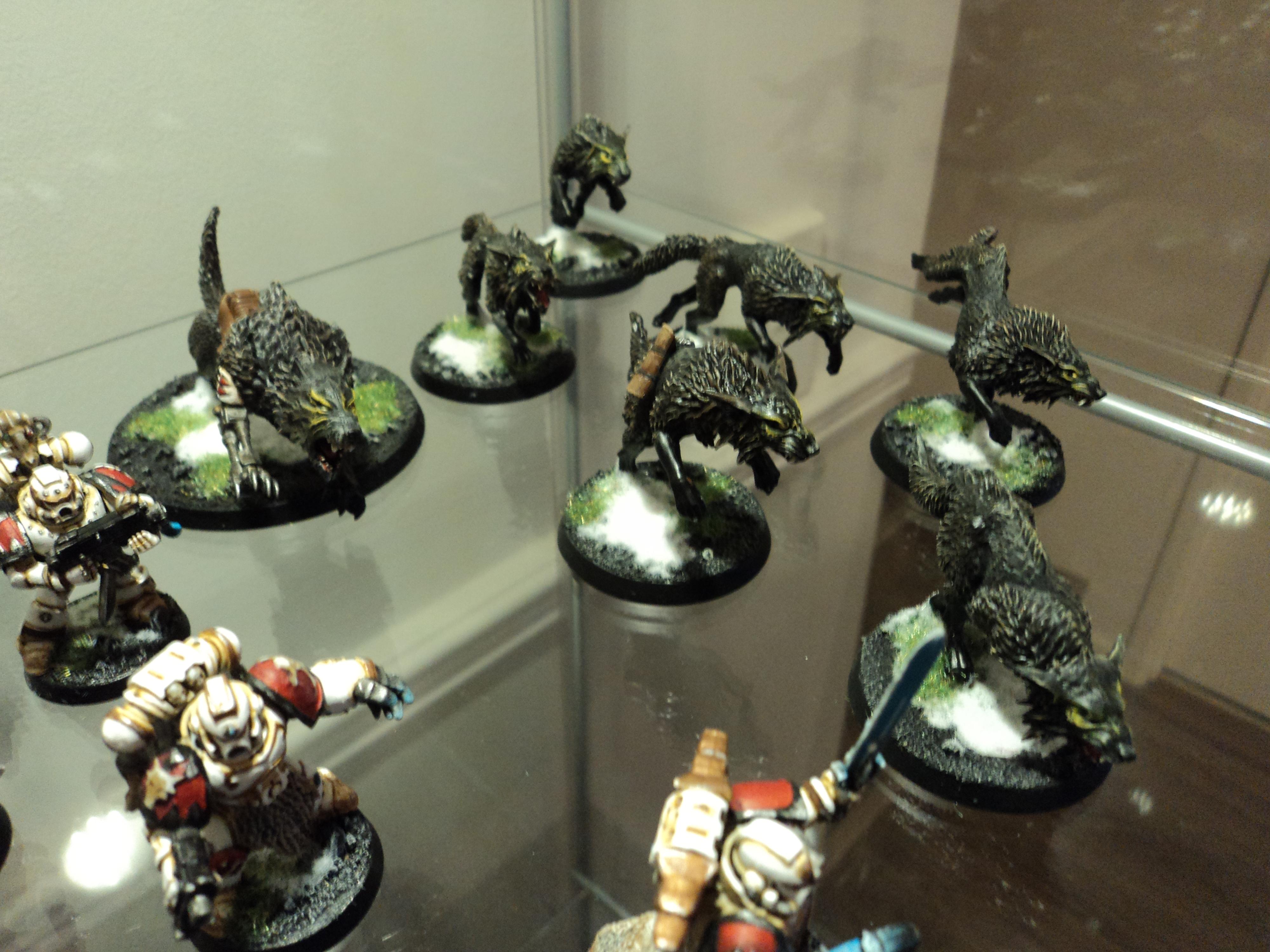 Fen wolf with scout pack is the wolf lords escort. 