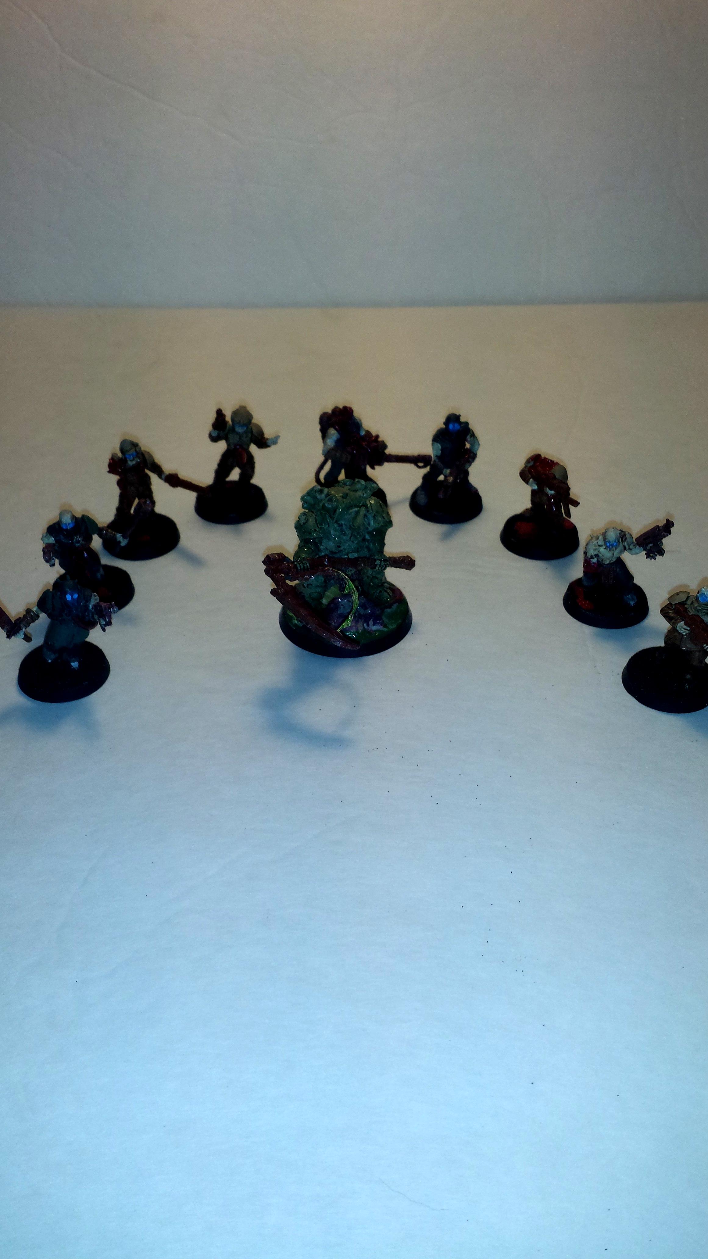 Chaos Space Marines, Cultist, Fallen, Imperial Guard, Trader Legion, Traders, Typhus, Zombie