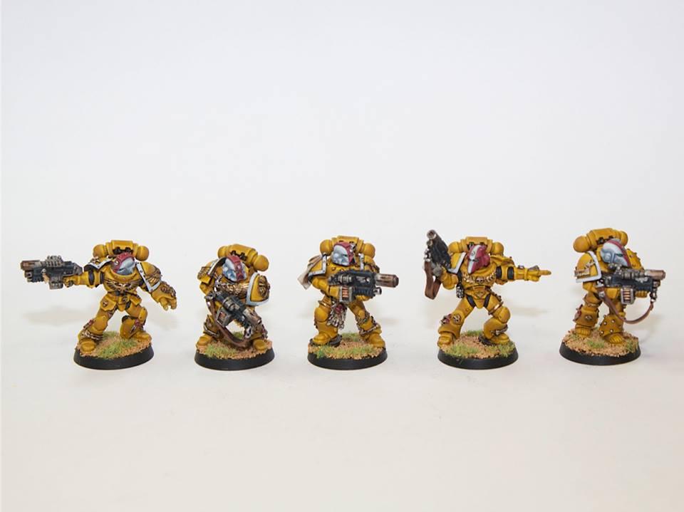Imperial Fists, Space Marines, Sternguard