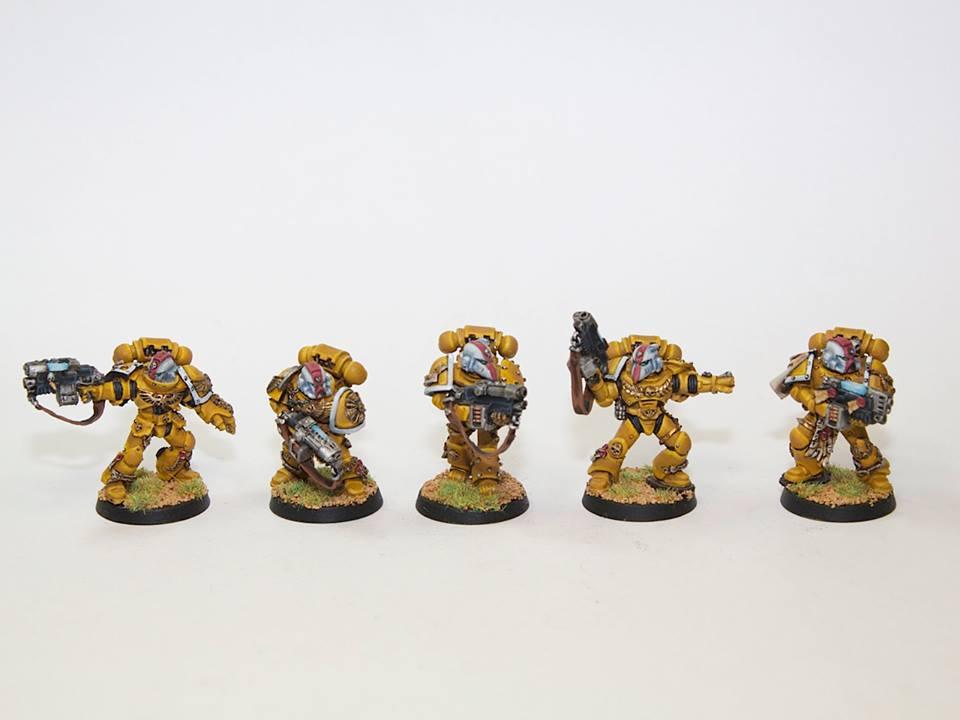 Imperial Fists, Space Marines, Sternguard