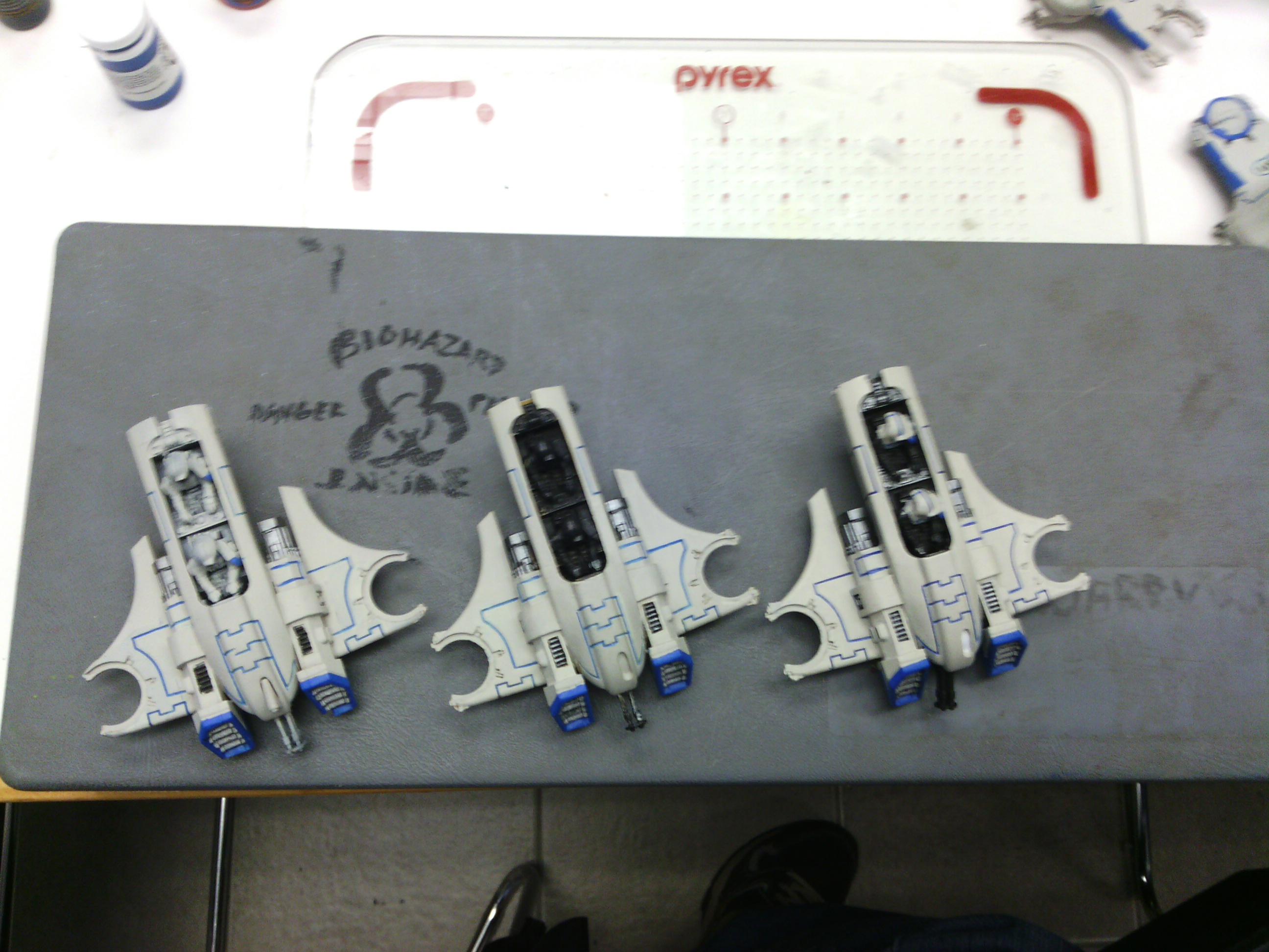 Piranha, Tau, Piranhas