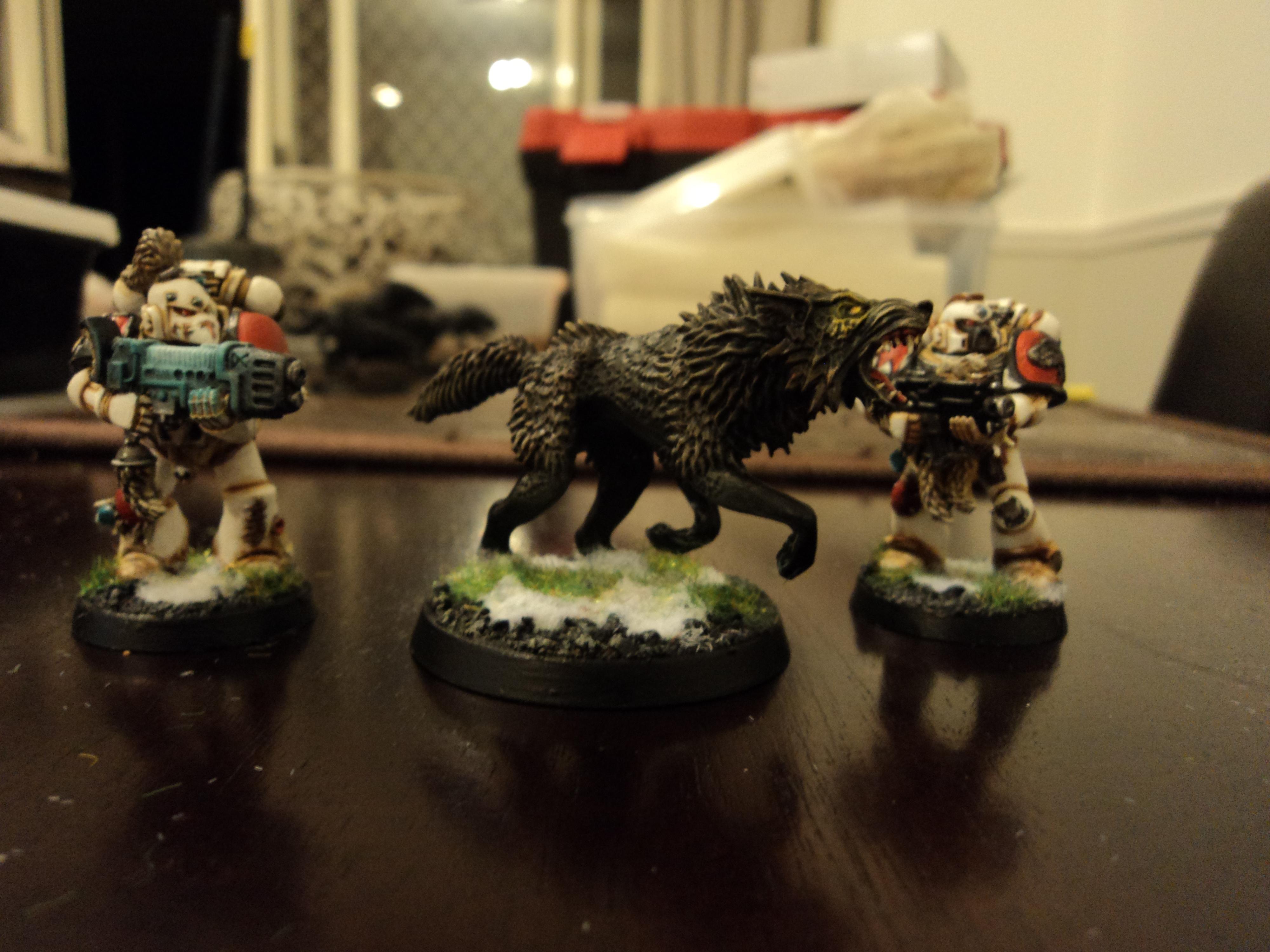 Grey Hunters there to show how they all tie in together