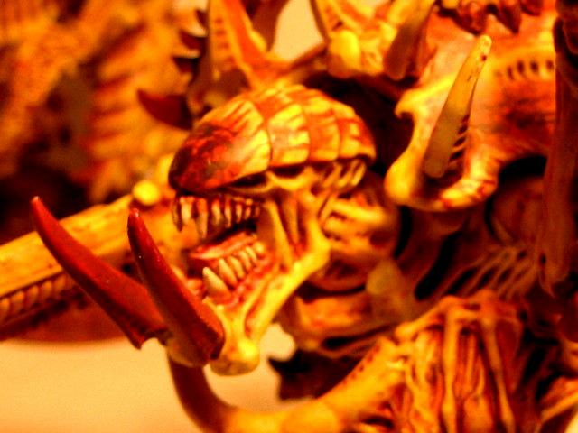 harkya carnifex