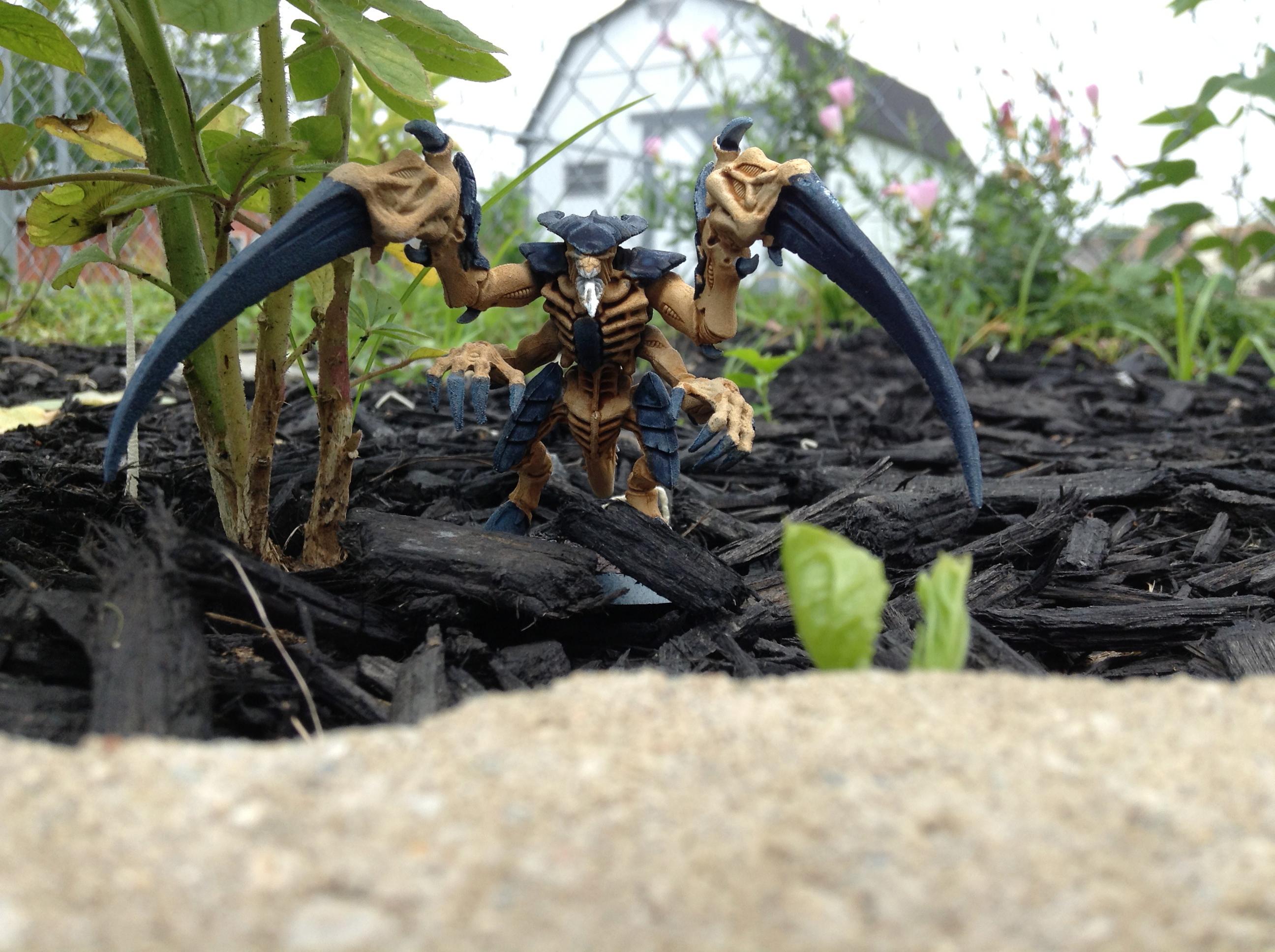 Bids, Outside, Tyranids, Warriors, Xenos