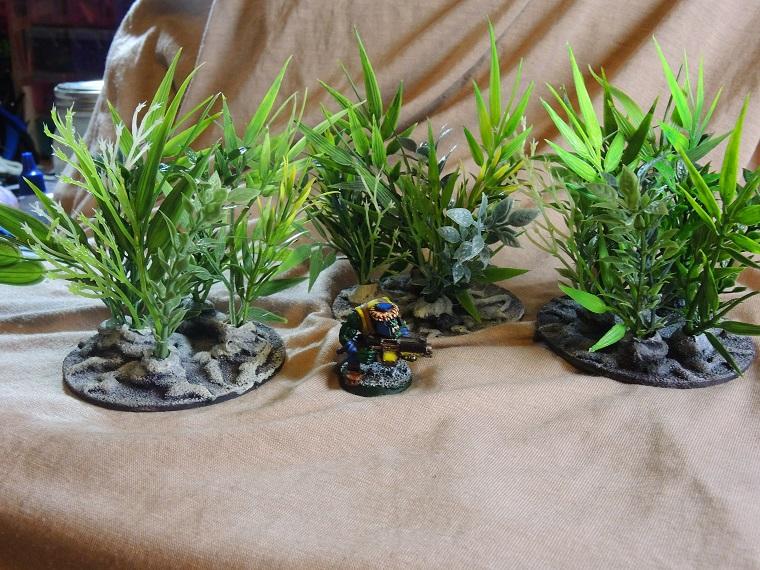 Infinity, Jungles, Paradiso, Scratch Build, Terrain