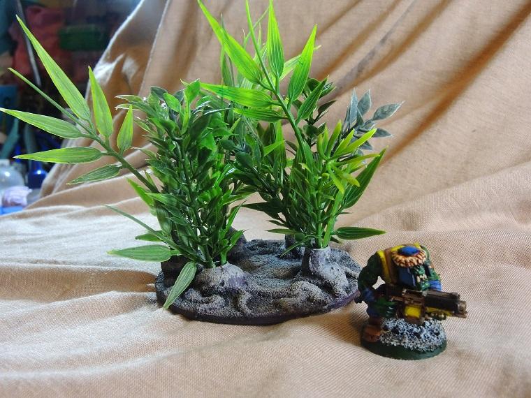 Infinity, Jungles, Paradiso, Scratch Build, Terrain