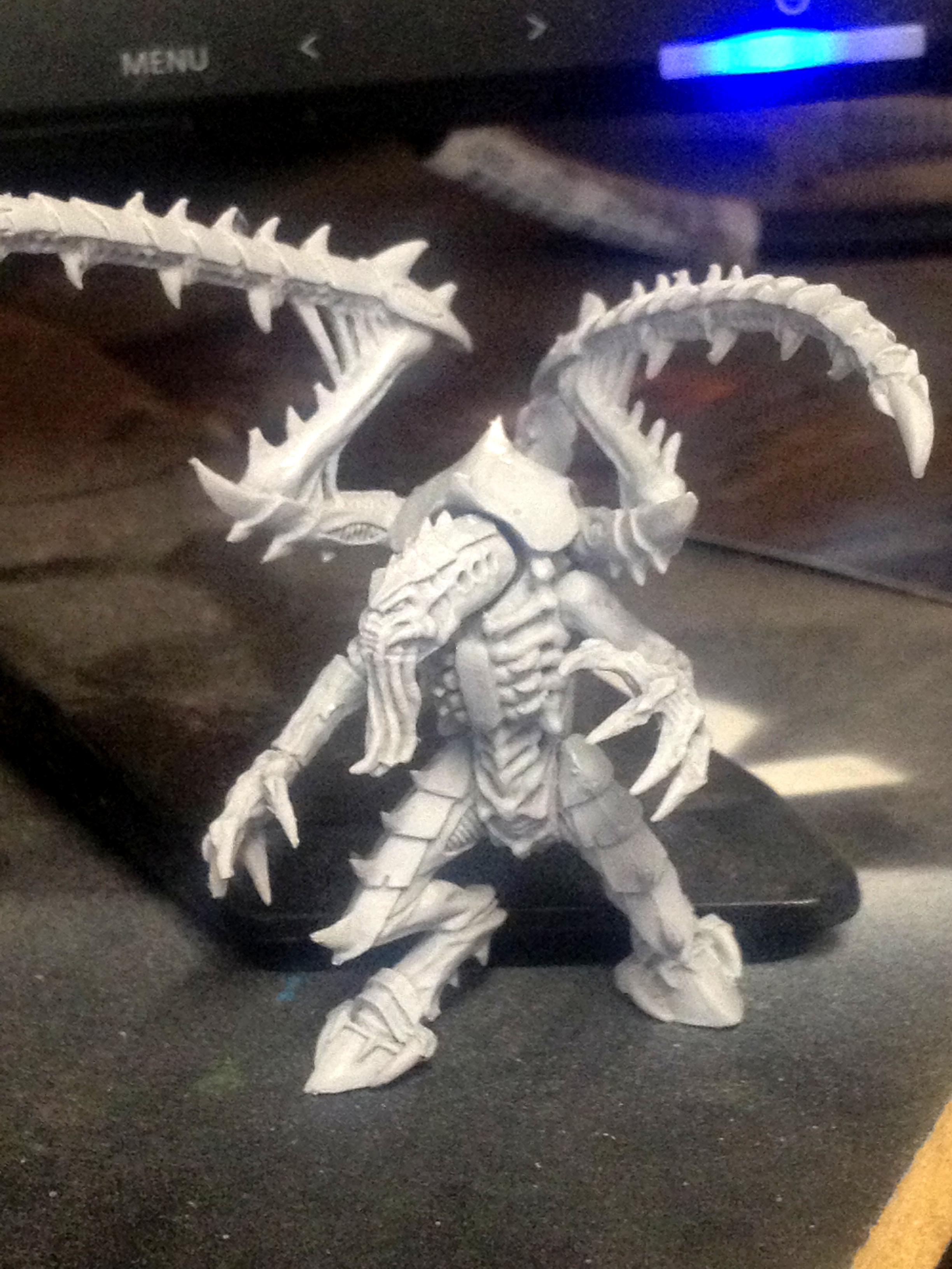 Tyranids Nids W.i.p, lictor w.i.p