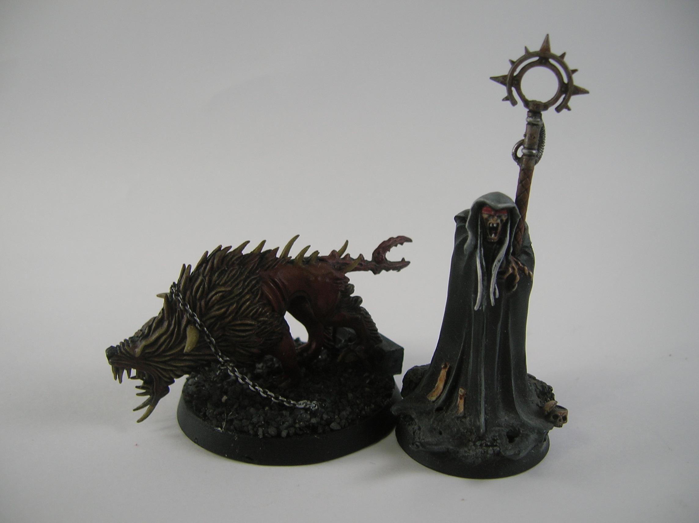  WHFB VC necromancer turned into chaos psyker and his warhound